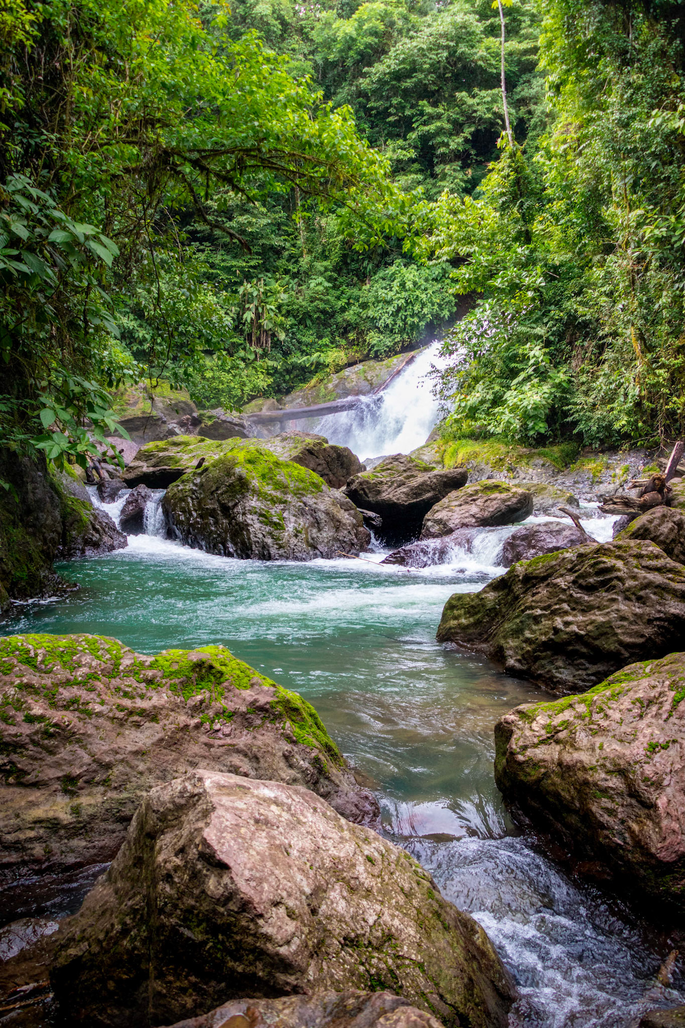 Osa Peninsula | © Kenneth Vargas