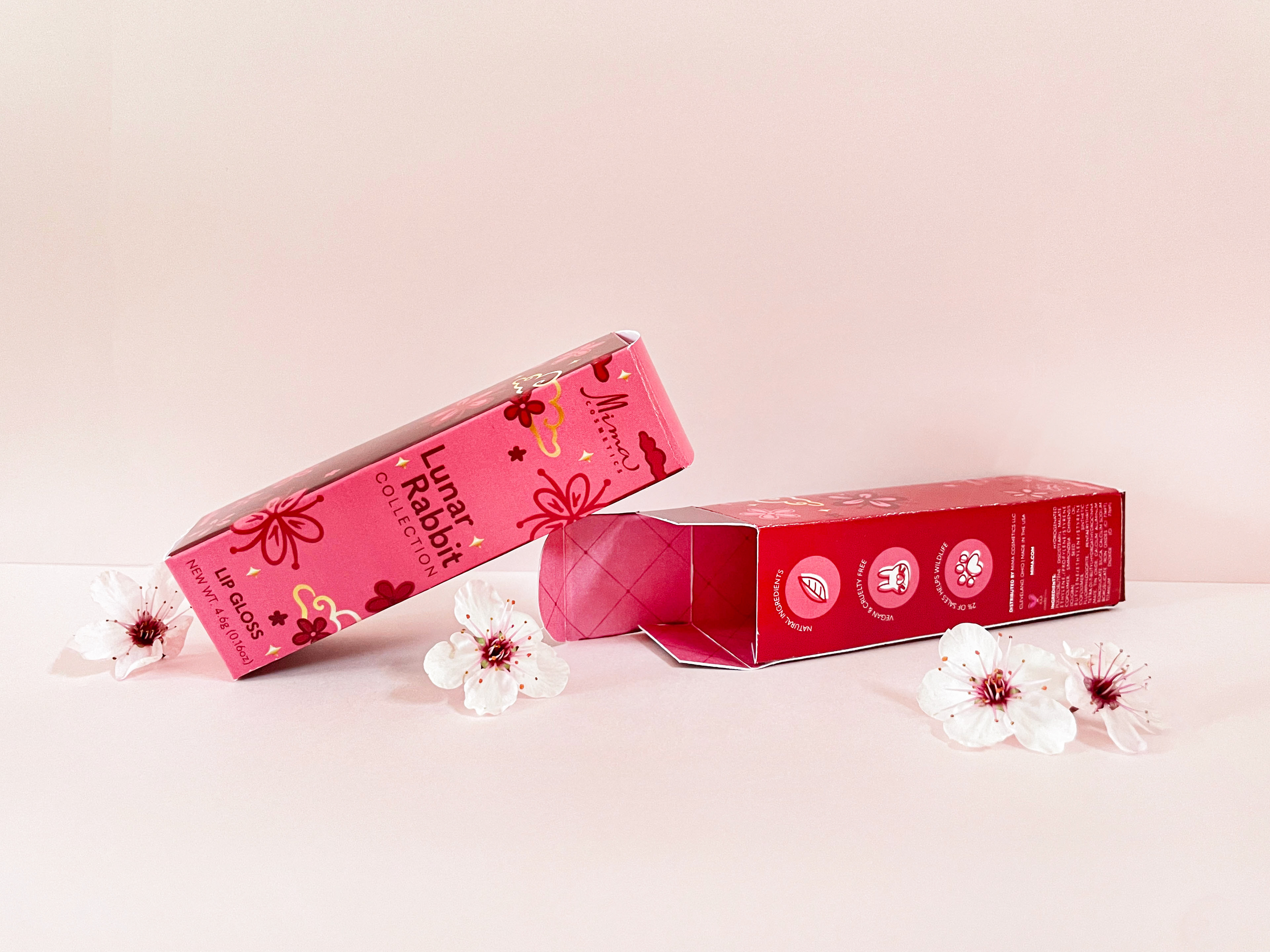Lip Gloss packaging
