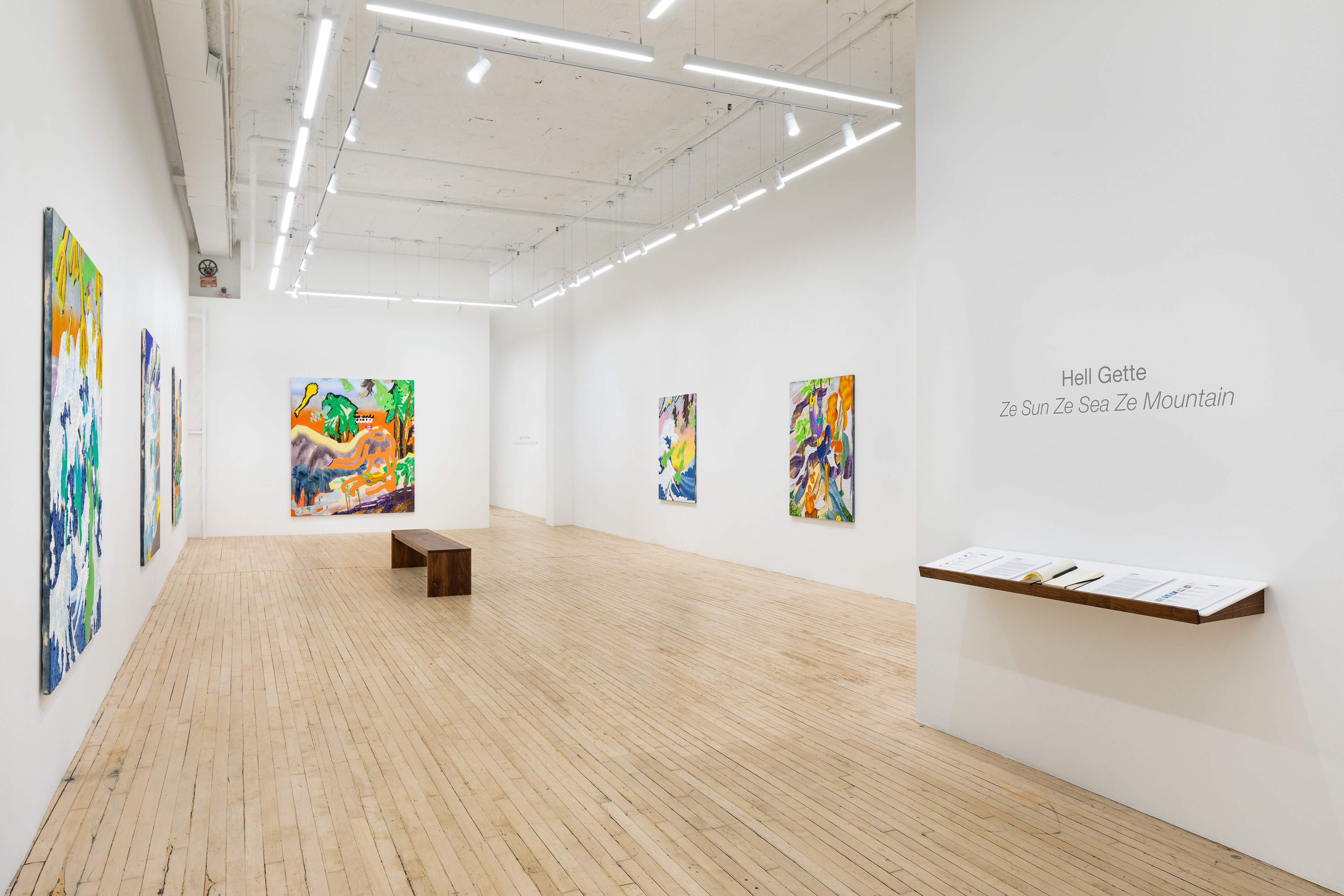 "Ze Sun Ze Sea Ze Mountain", solo exhibition, Shrine gallery New York City, USA, March 29- May 11, 2024