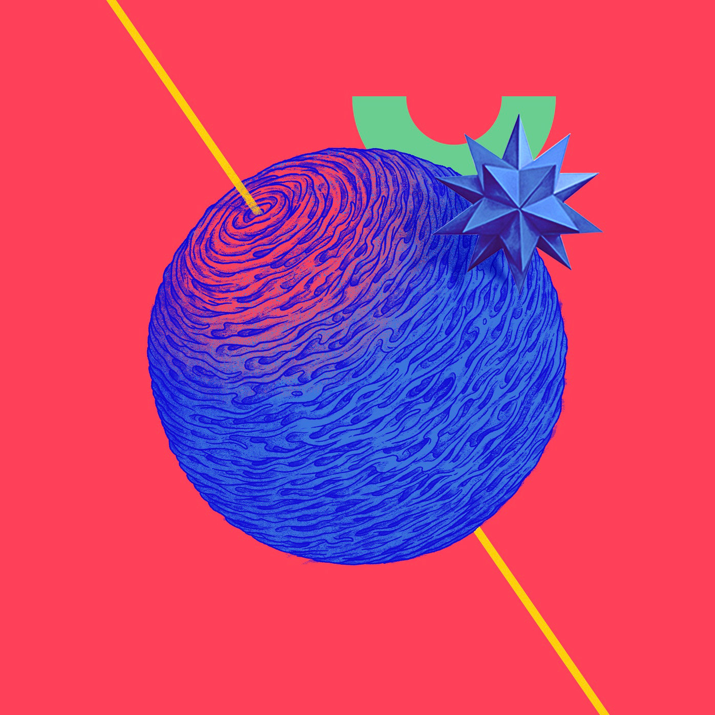 Orbita / 2019