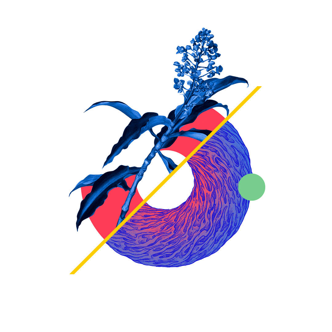 Balance / 2021
