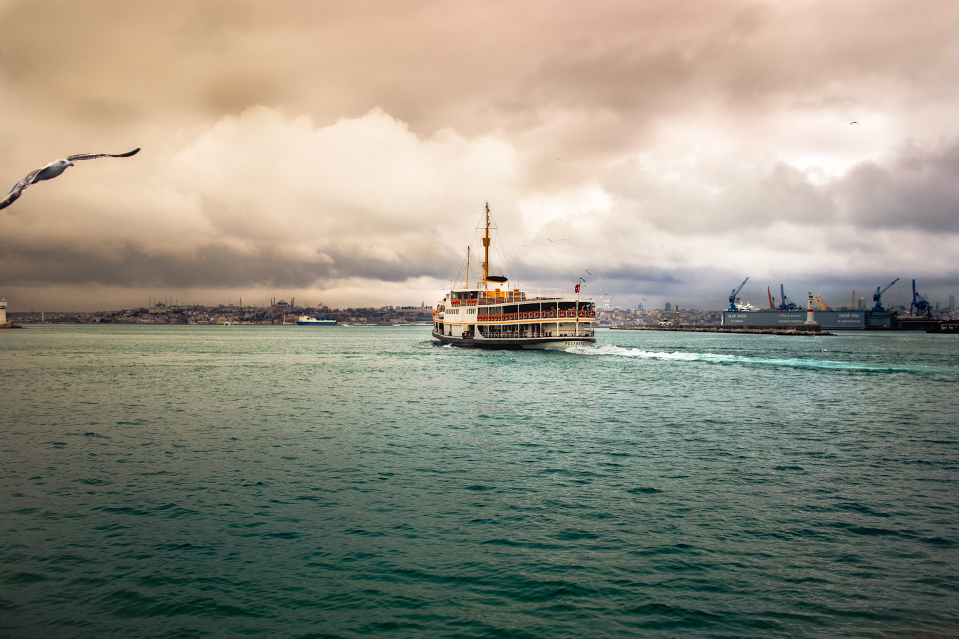 Açık denizlerin özlemini çekerek geçirdiğin ömrünün acaba kaç seferi kaldı bir avuçluk Marmara'da?