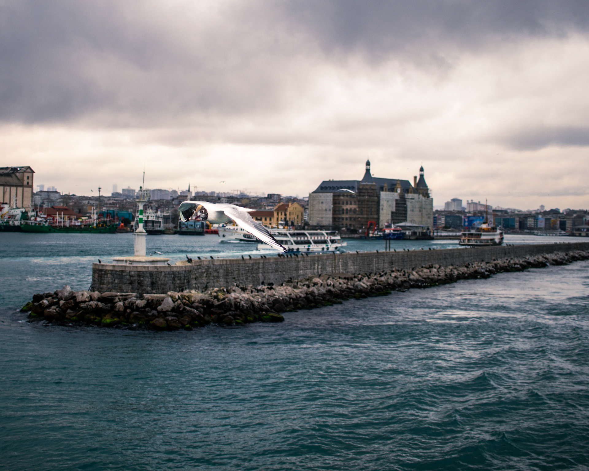 Vapurunuz Haydarpaşa'nın önünden geçerken, sizi takip eden bir martı gökyüzünde süzülüyor. Dalgakıranın arkasında başka bir vapur, şehrin karmaşasını yansıtıyor. Uzaklarda ise bir motor, kışın soğuk ve bulutlu havasında yol alıyor. Bu manzara, şehrin sakin ve melankolik bir yanını gösteriyor. Martıların beyazlığı, gökyüzünün gri tonları ve denizin dalgaları, bu manzaraya ayrı bir güzellik katıyor.
