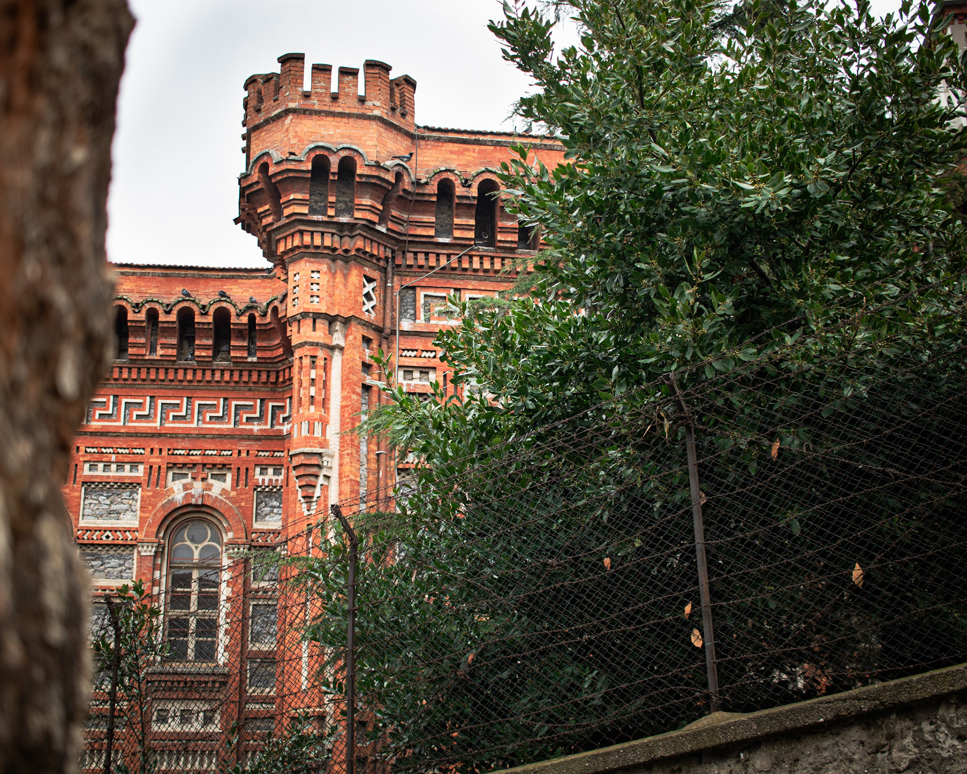 Fener Rum Patrikhanesi'nin avlusunda bulunan bir ağaç görünüyor. Ağaç, tarihi yapının heybetli atmosferine doğal bir güzellik katıyor. Yeşil yaprakları ve gür dallarıyla patrikhanenin taş duvarlarına ve kırmızı kiremitlerine kontrast oluşturuyor. Aynı zamanda, bu tarihi yapının sakin ve huzurlu atmosferine katkıda bulunuyor.