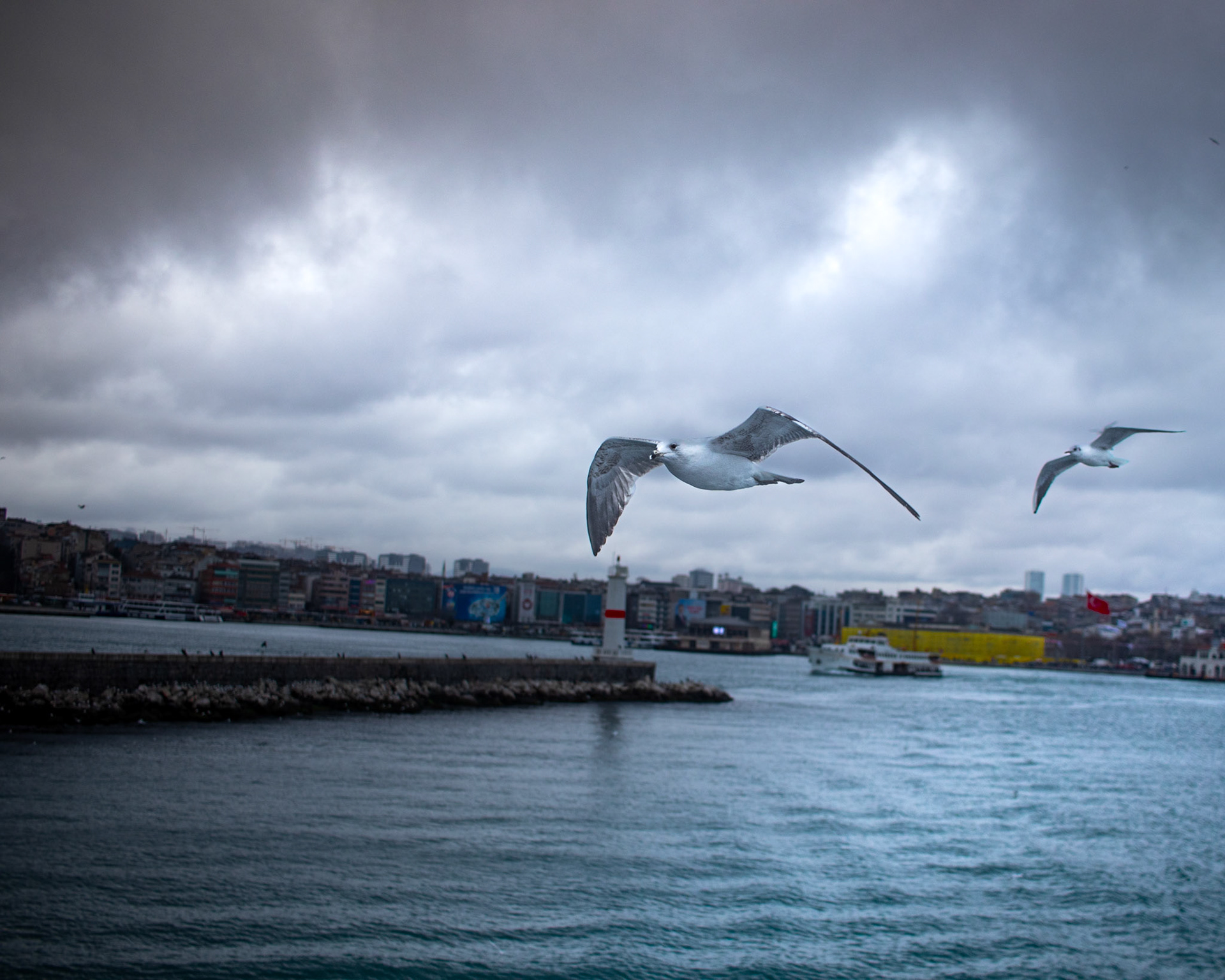 Vapurunuzun arkasında martılar kanat çırparak süzülüyor. Martıların zarif uçuşları, Kadıköy'ün ikonik manzarasıyla bir araya geliyor. Arka planda ise başka bir vapur, şehrin canlılığını simgeliyor. Bu kare, adeta bir tabloyu andırıyor. Martıların beyazlığı, gökyüzünün bulutlu tonları ve denizin dalgaları, bu manzaraya ayrı bir güzellik katıyor.