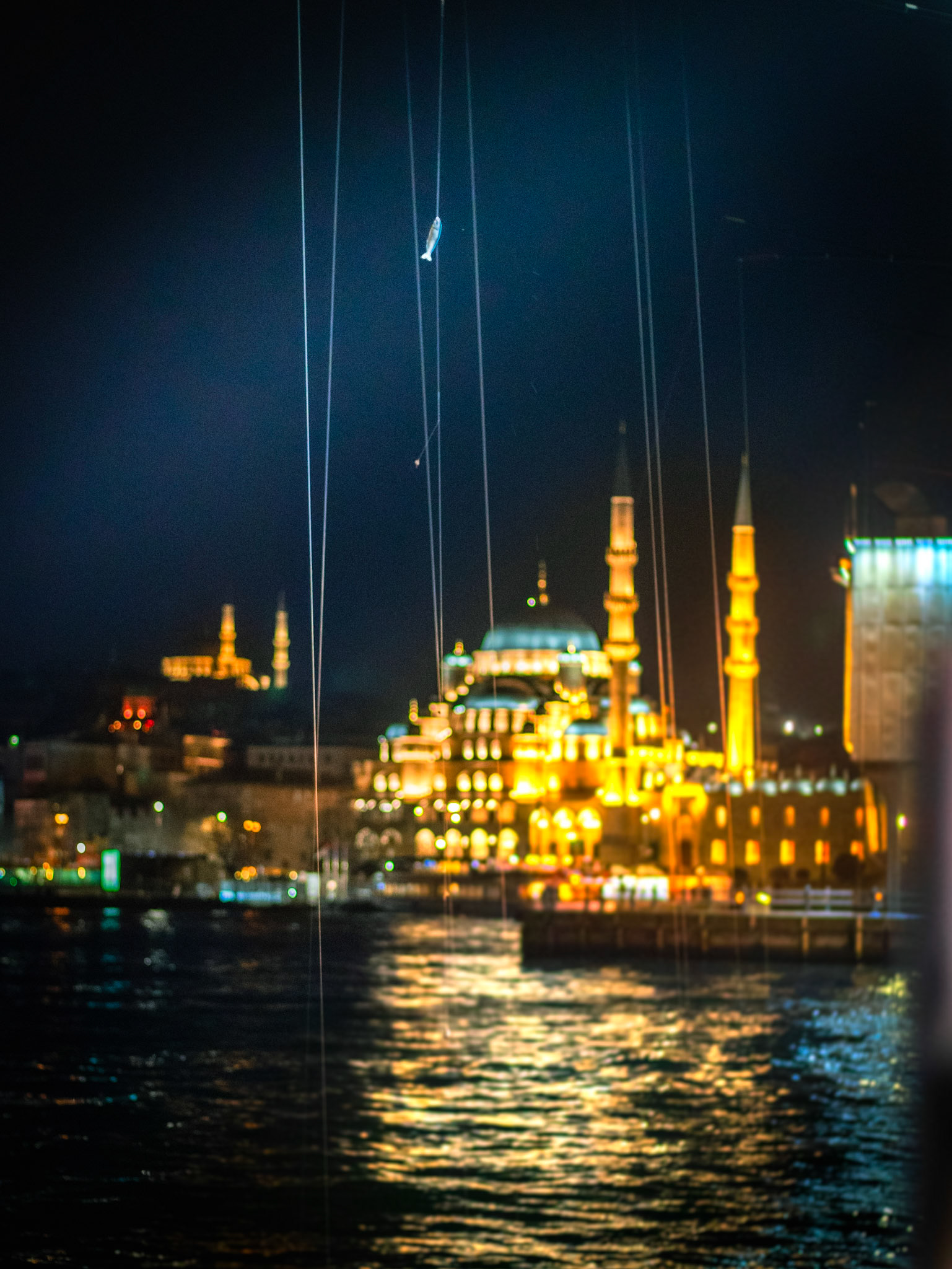 Oltaya takılan hüzünlü balık, derin suların sessiz çığlığı gibidir. Onun hikayesi, kaybolmuş bir umudun ve yaşanmış bir acının yankısıdır.