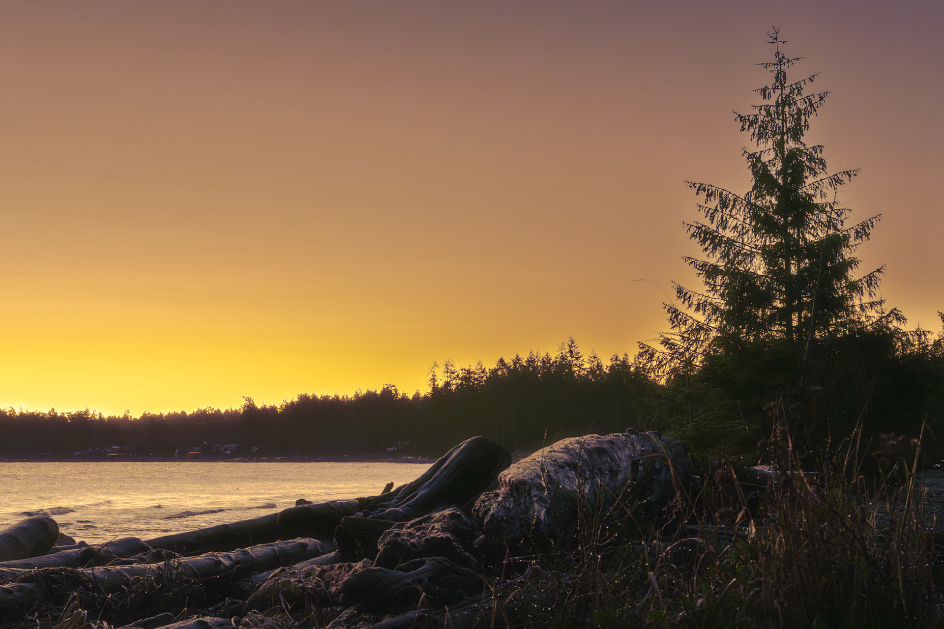 Every sunrise is a miracle