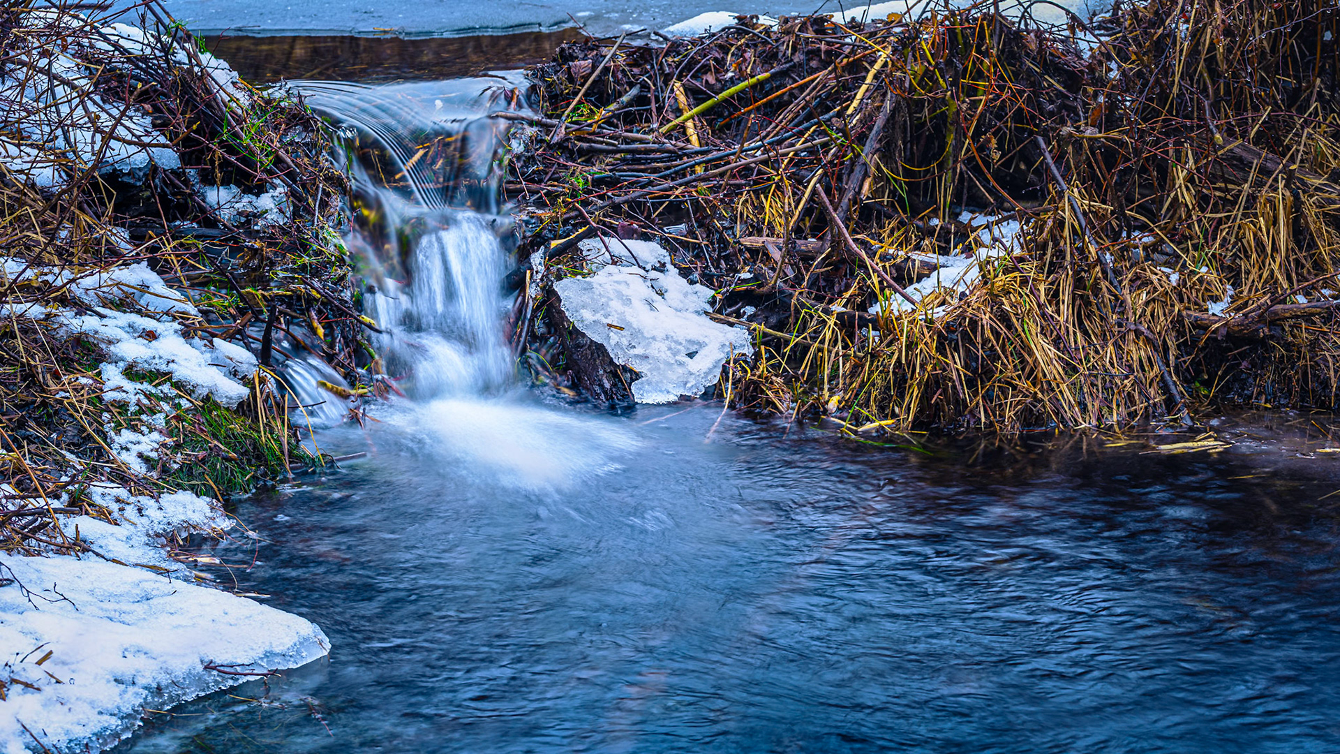 A small trickle of a creek flowing into a min falls, just before it flows off into Gooseneck Lake.