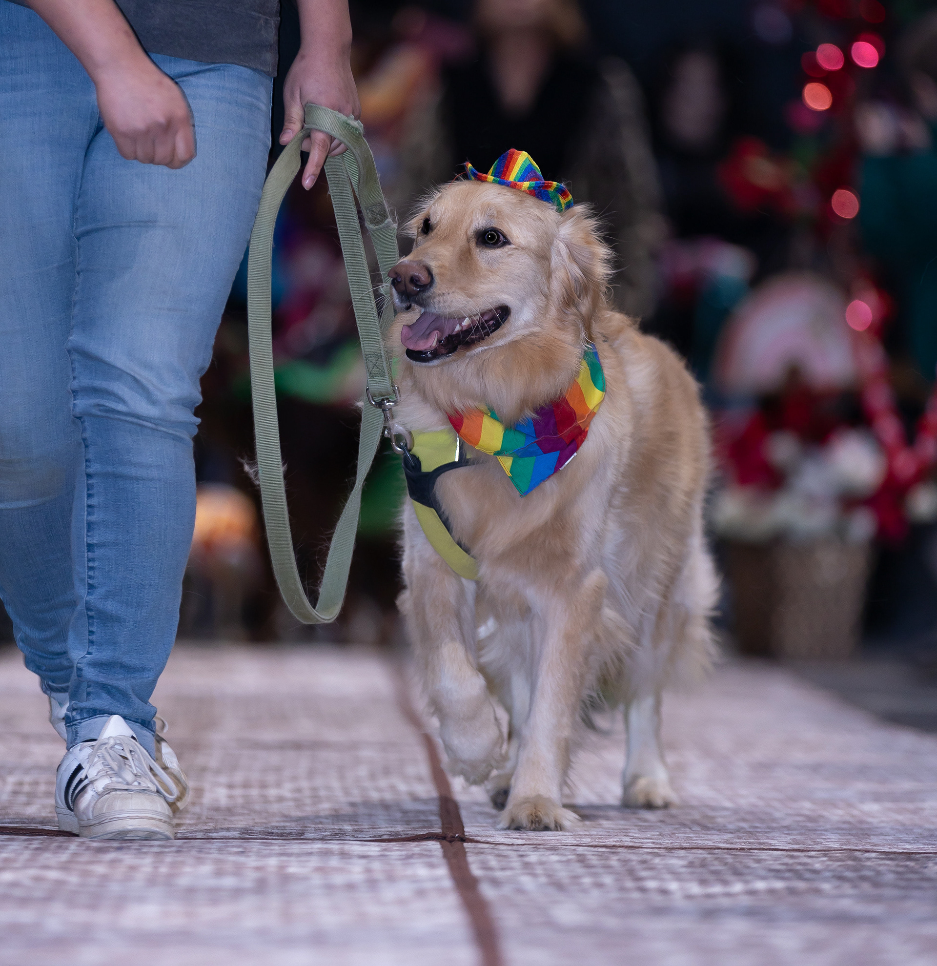 Woofston-Salem Fashion Show Year 3