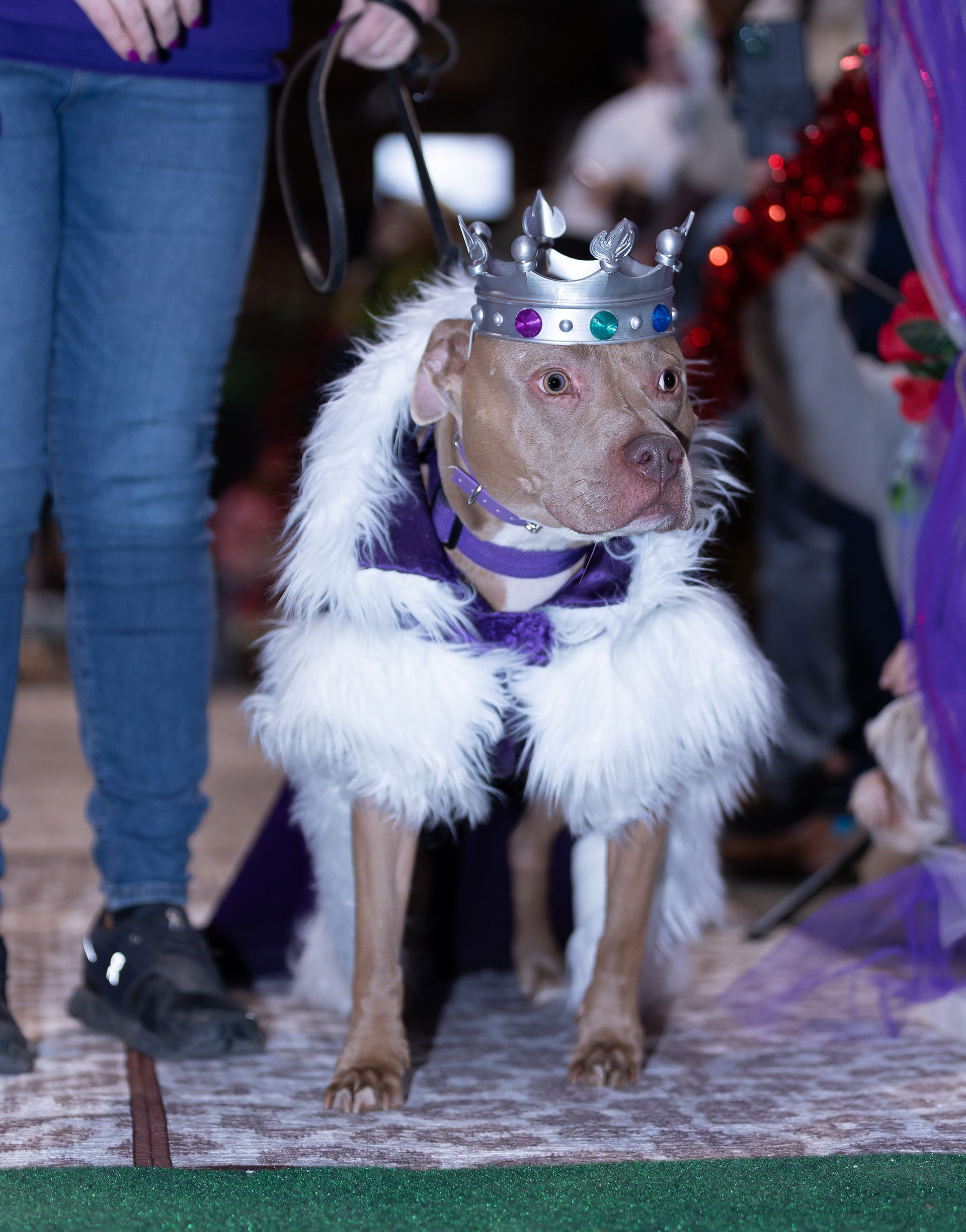 Woofston-Salem Fashion Show Year 3