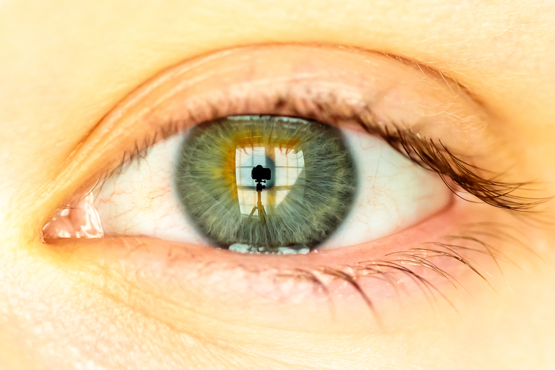 Eye Level