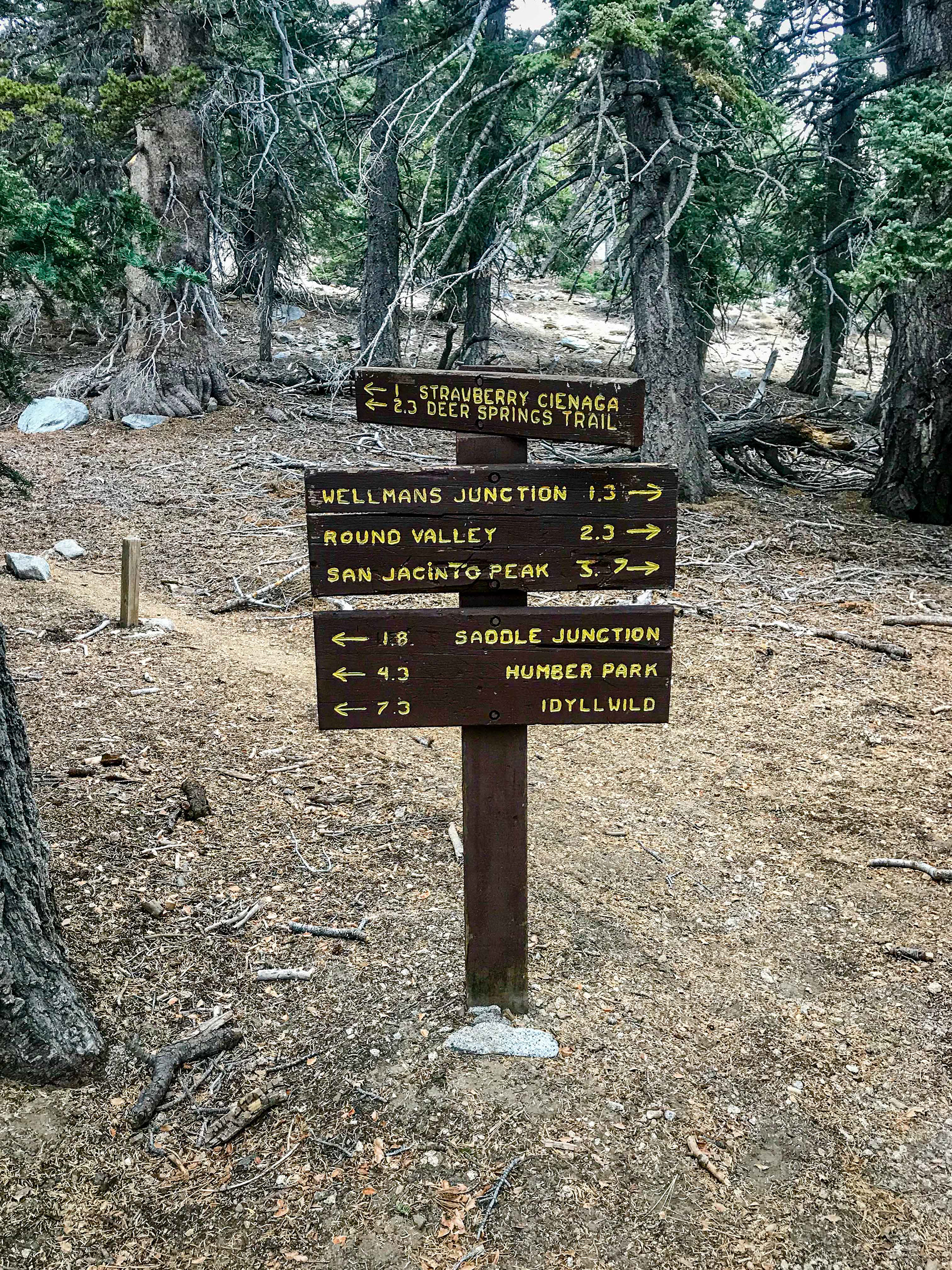 So Many Choices