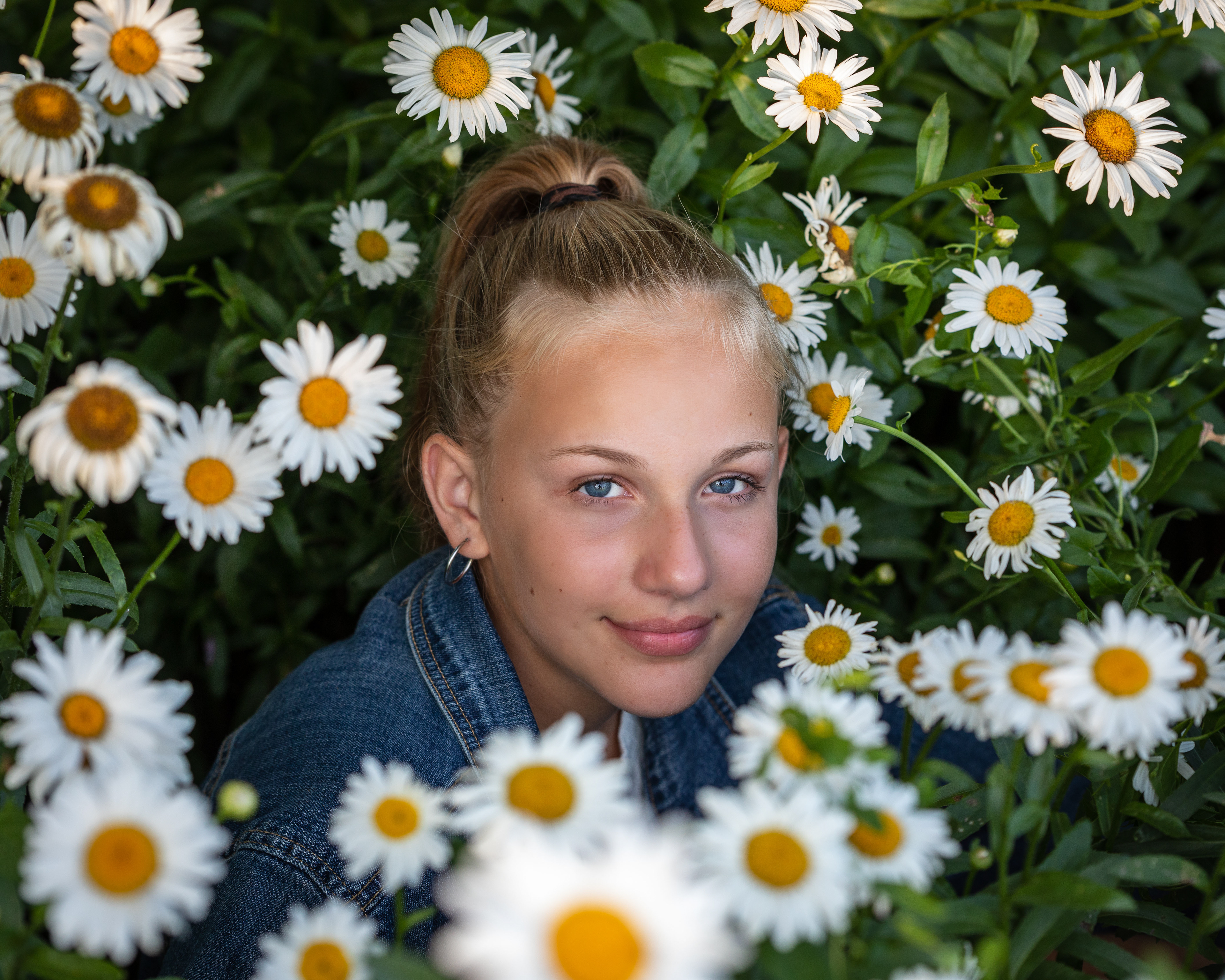 Daisies