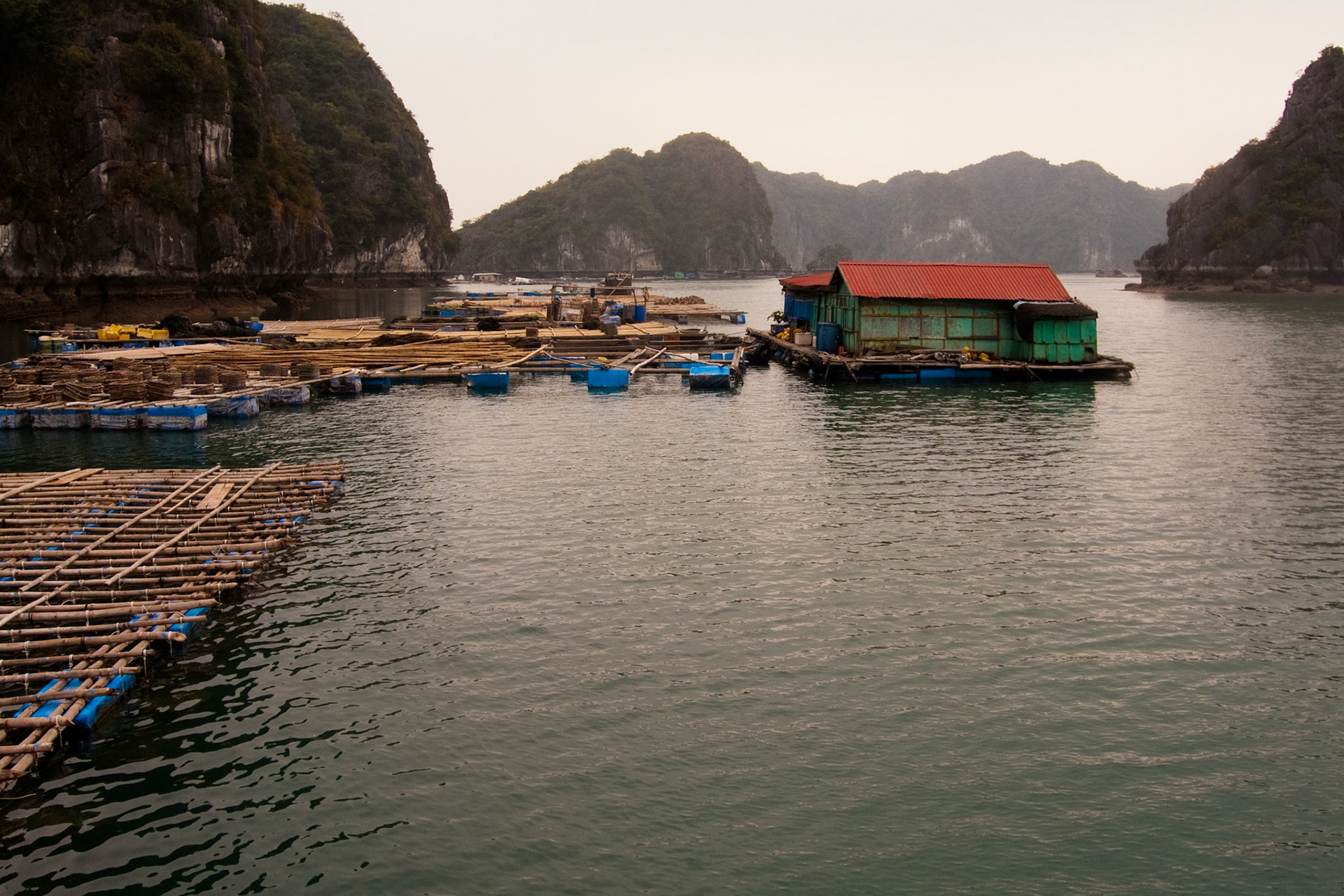 aquaculture near Cat Ba