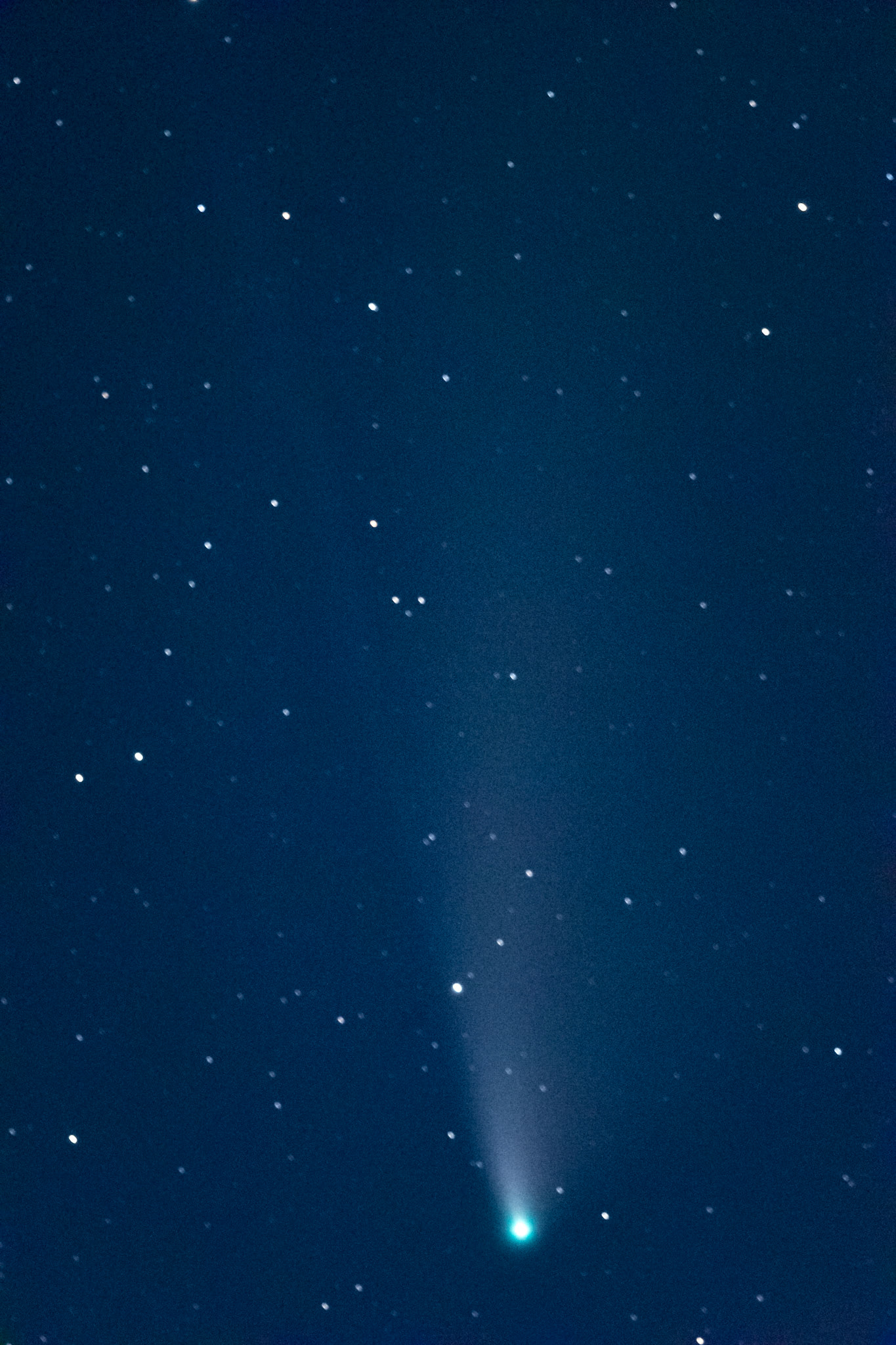 NEOWISE Comet against Blue Sky