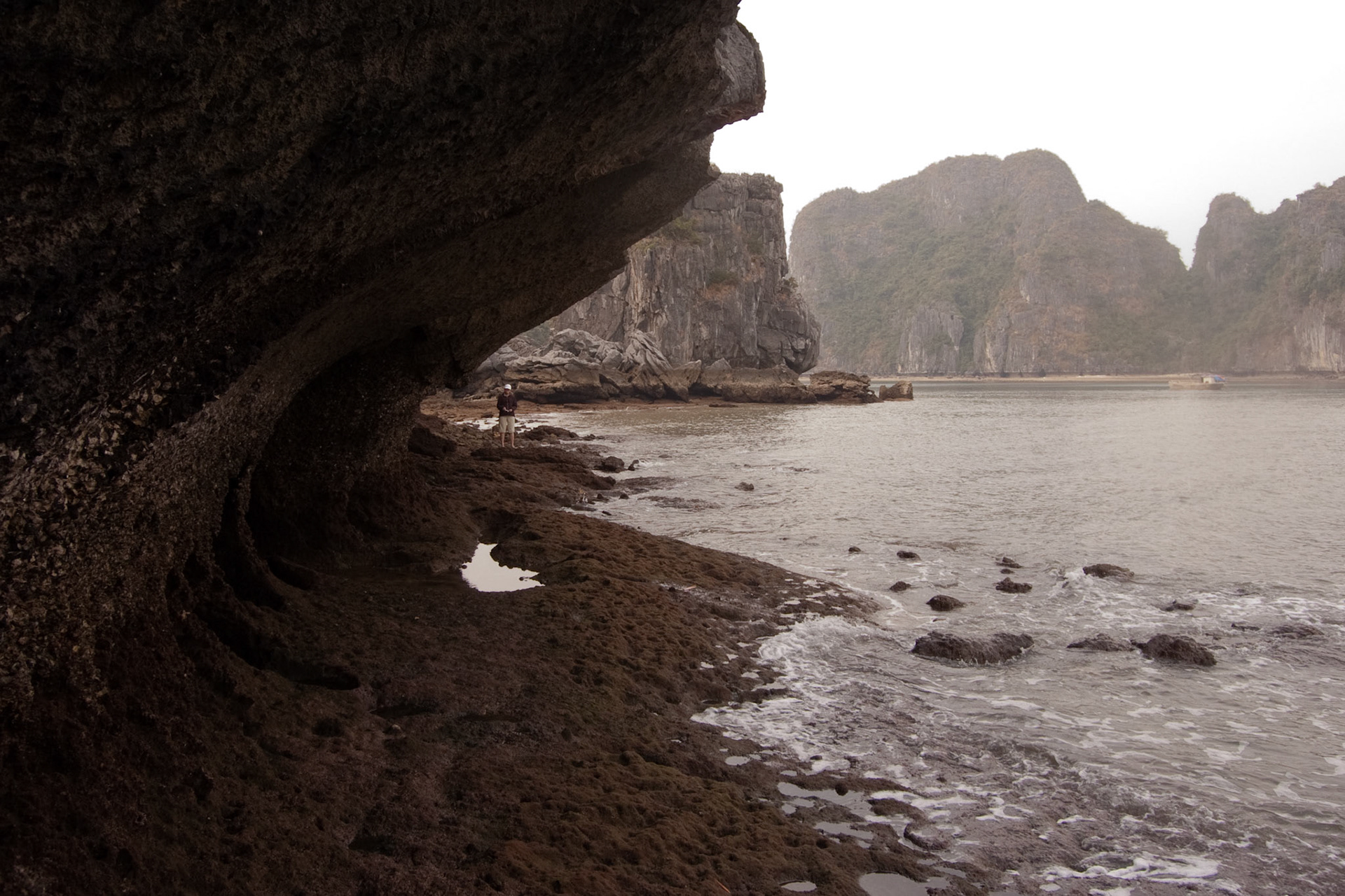 Exploring at low tide near Cat Ba Island