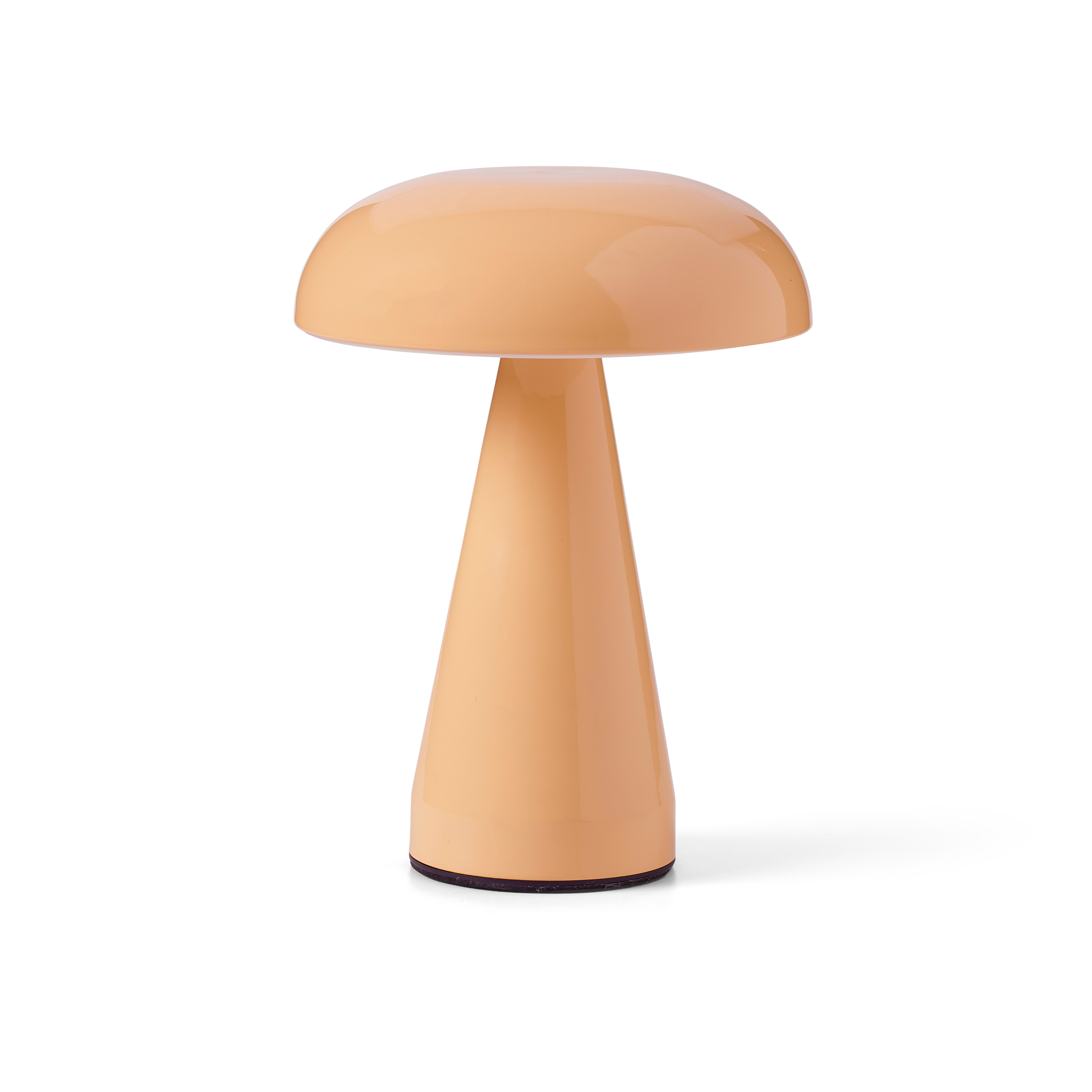 client: CASA International N.V