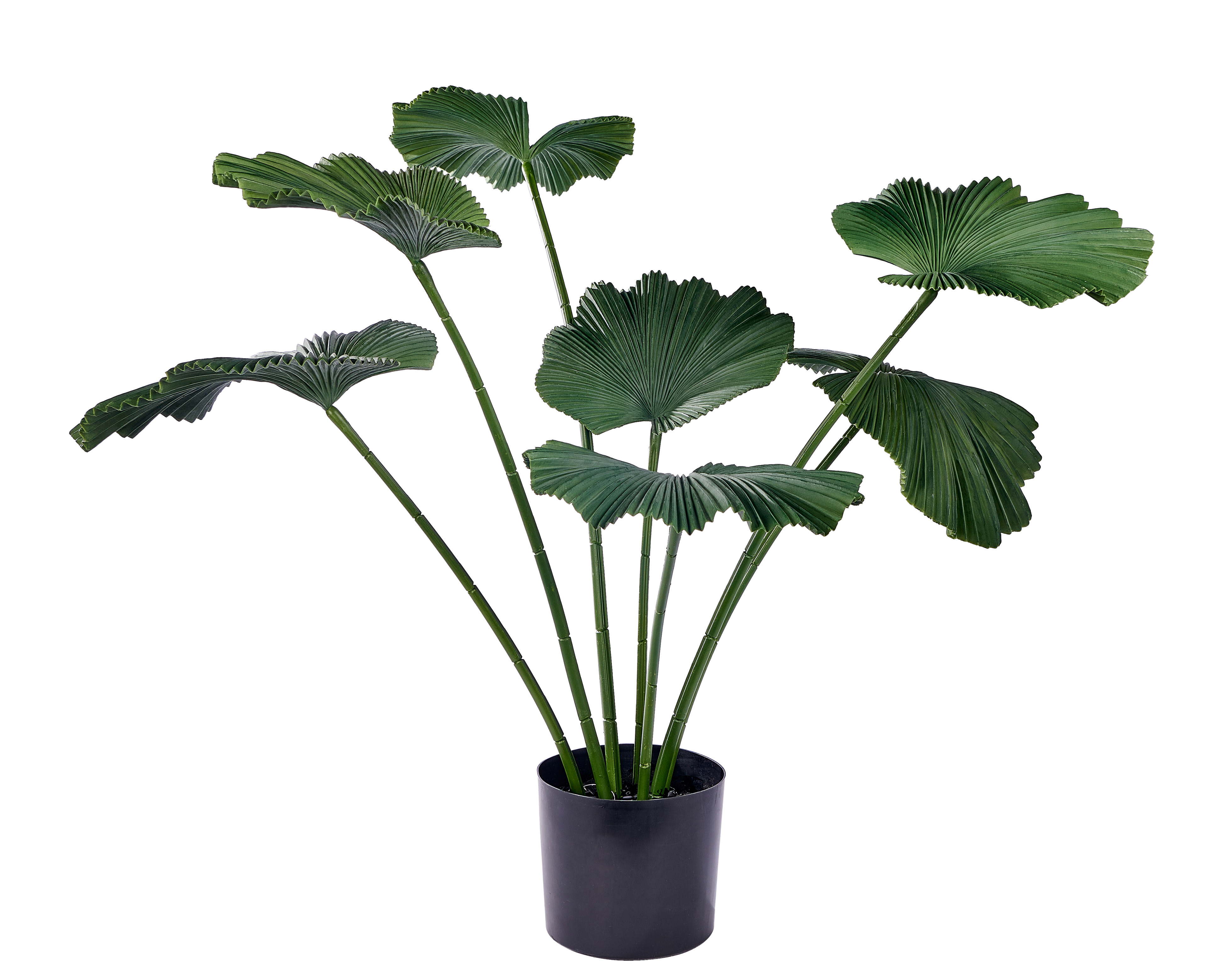 client: CASA International N.V