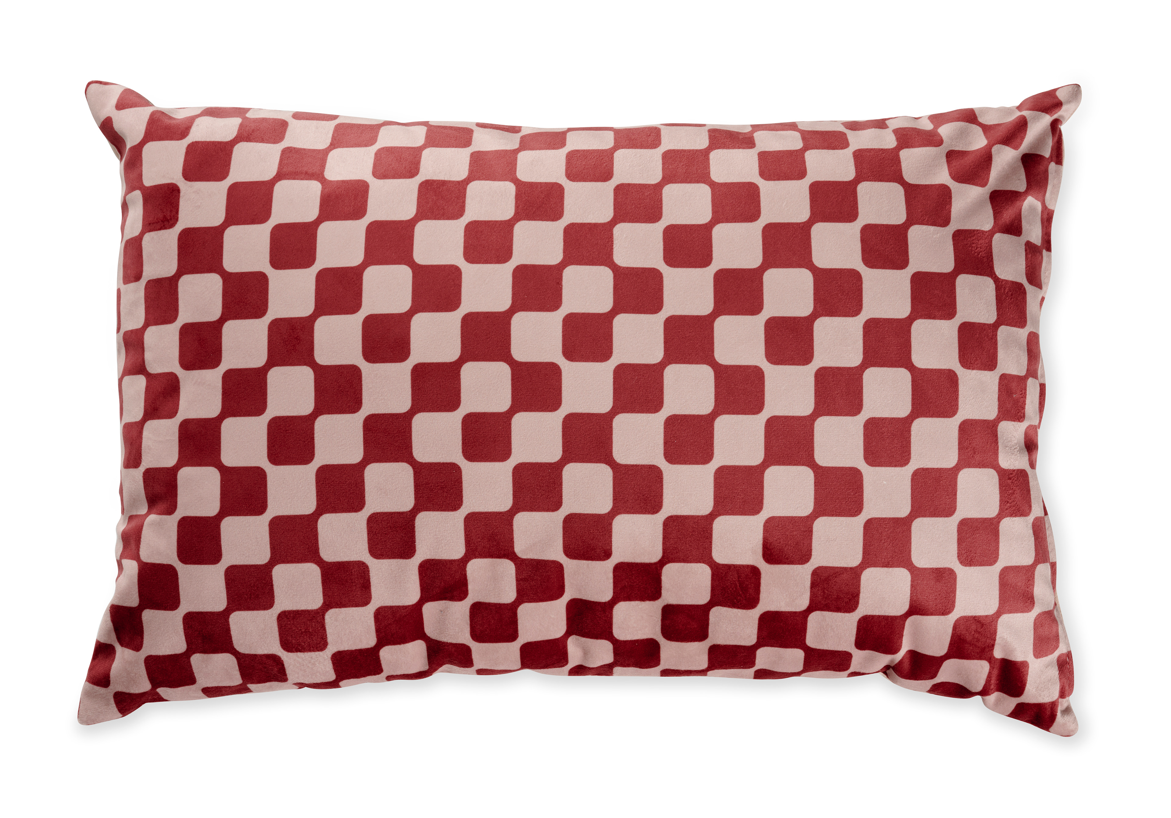 client: CASA International N.V