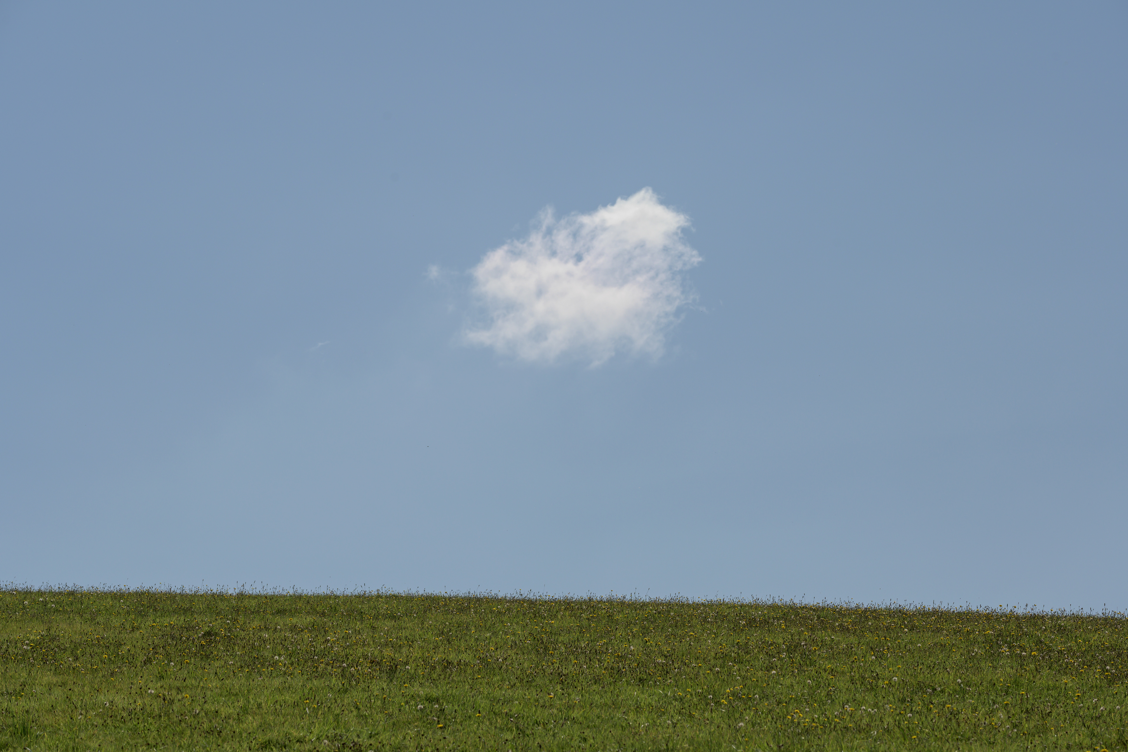 Image from Silence and Light
