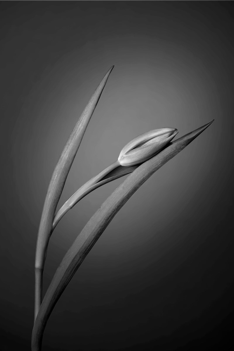 Leading lines, 2022