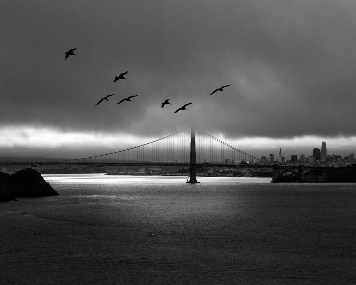 Island Light, 2024