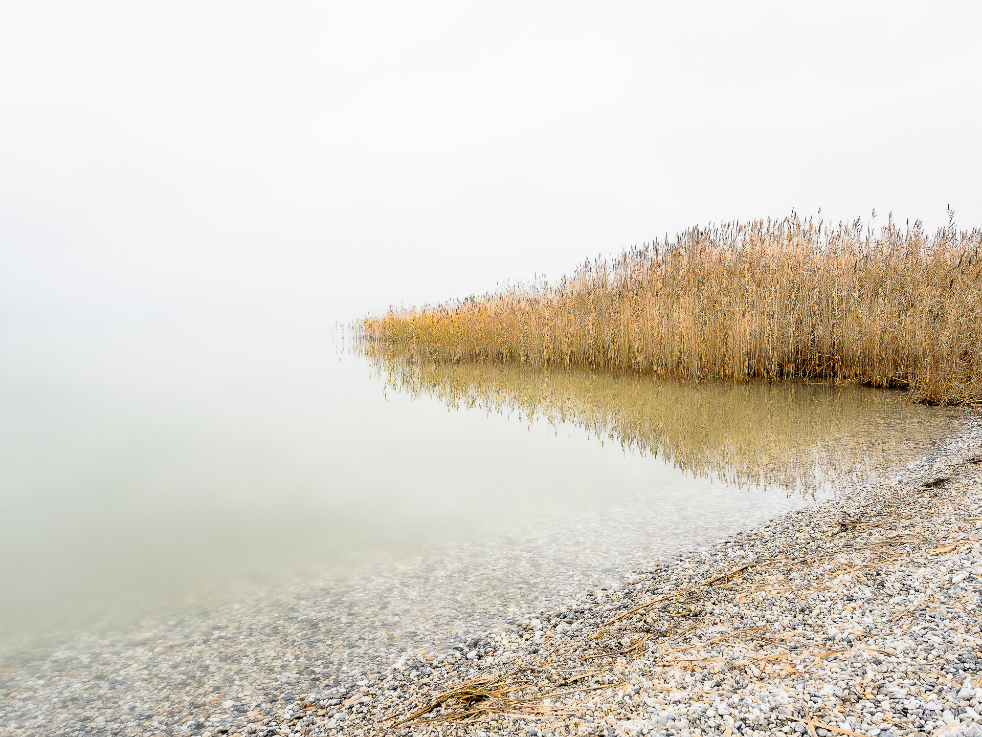 Silent Memories #16