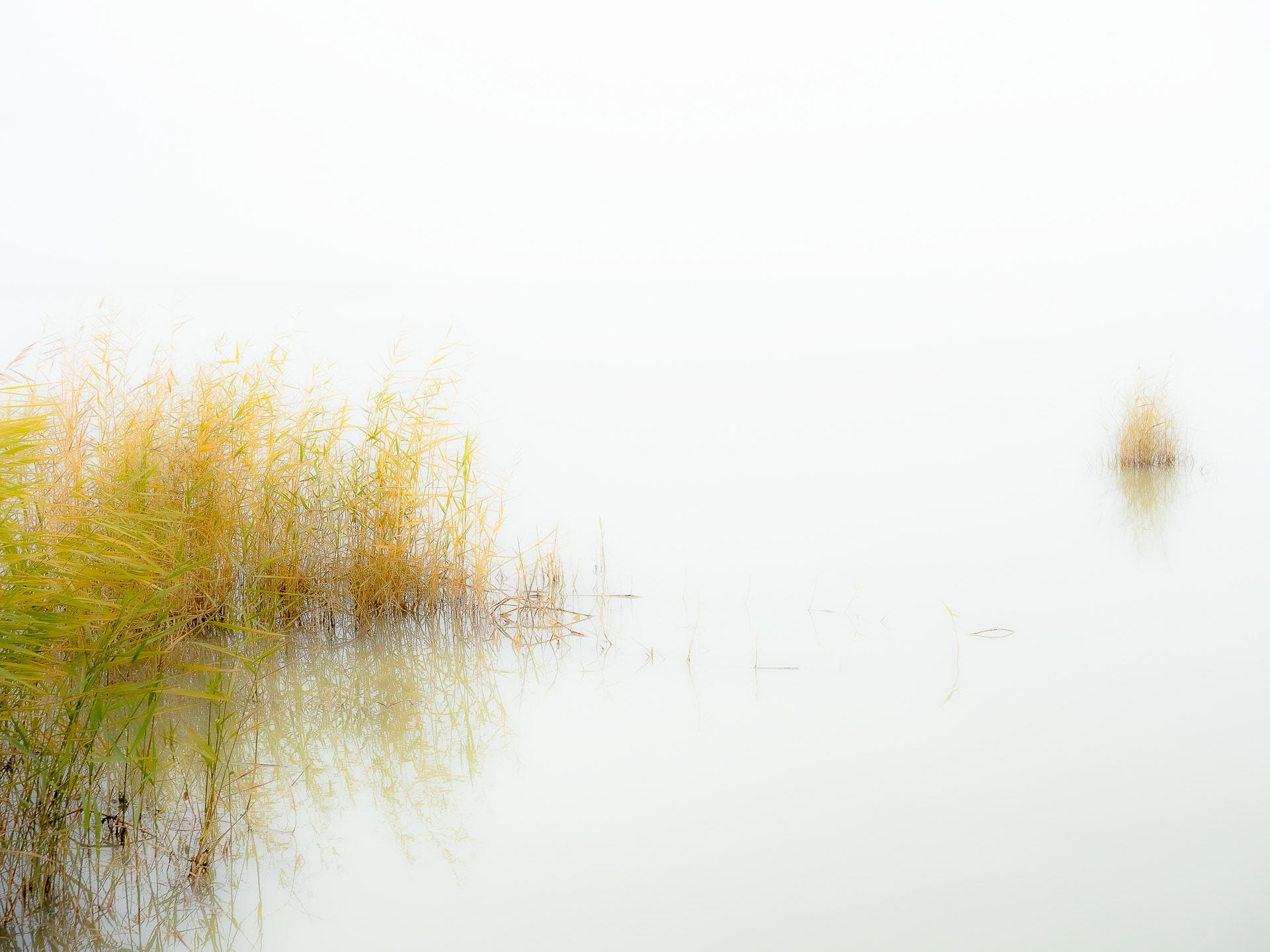 Silent Memories #4