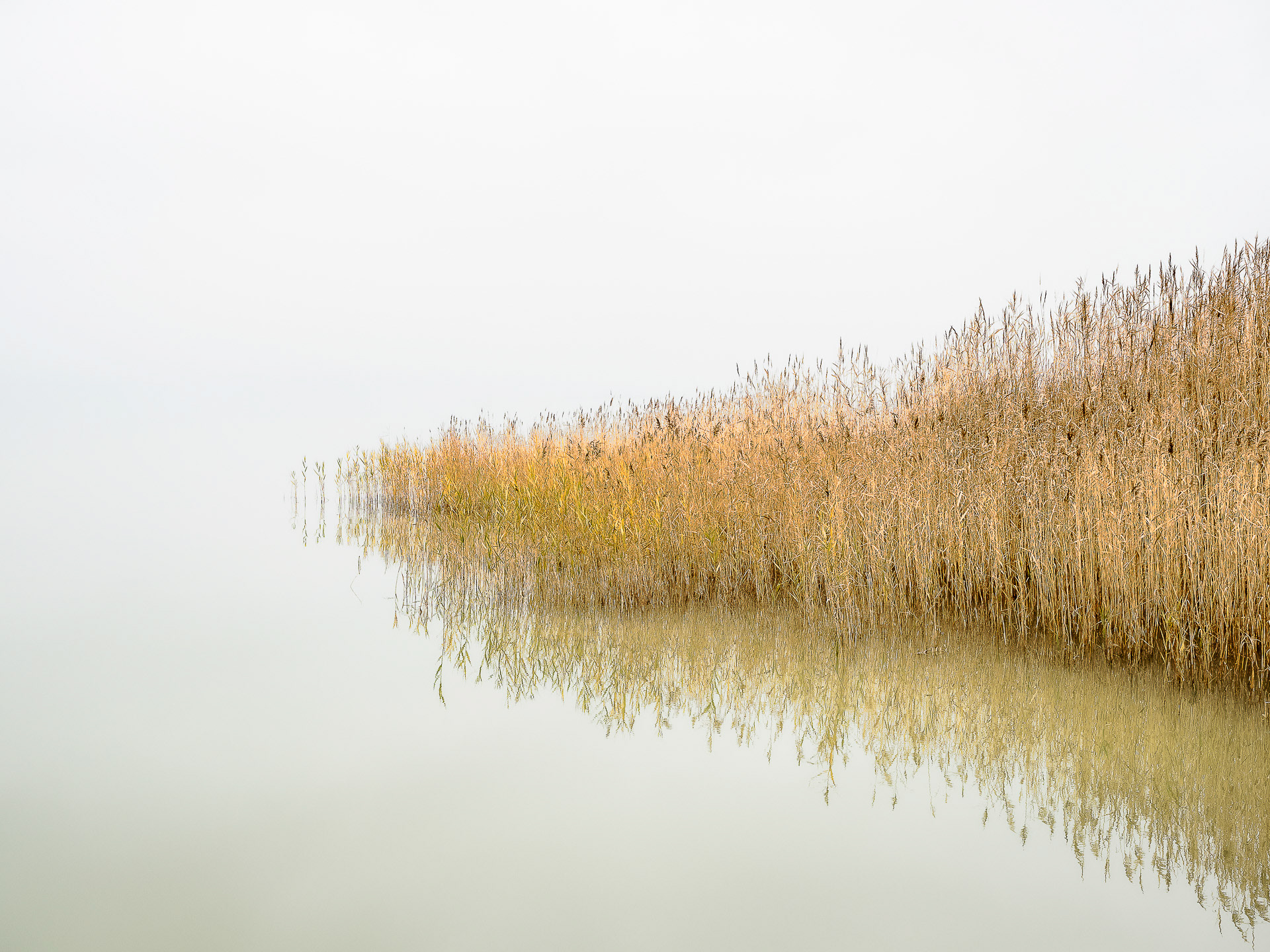 Silent Memories #17