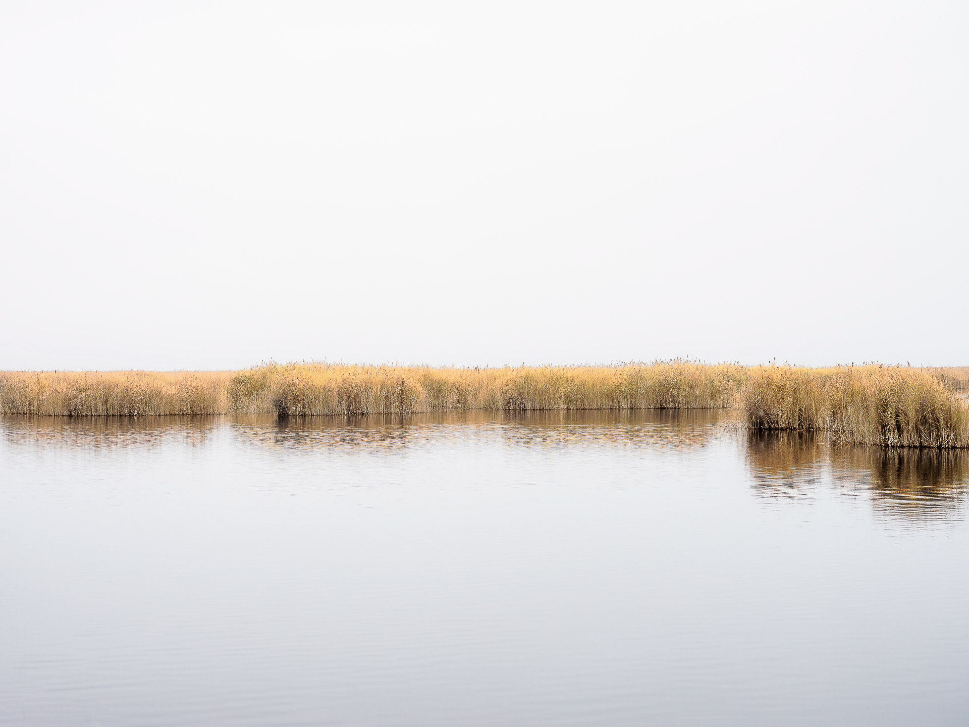 Silent Memories #19