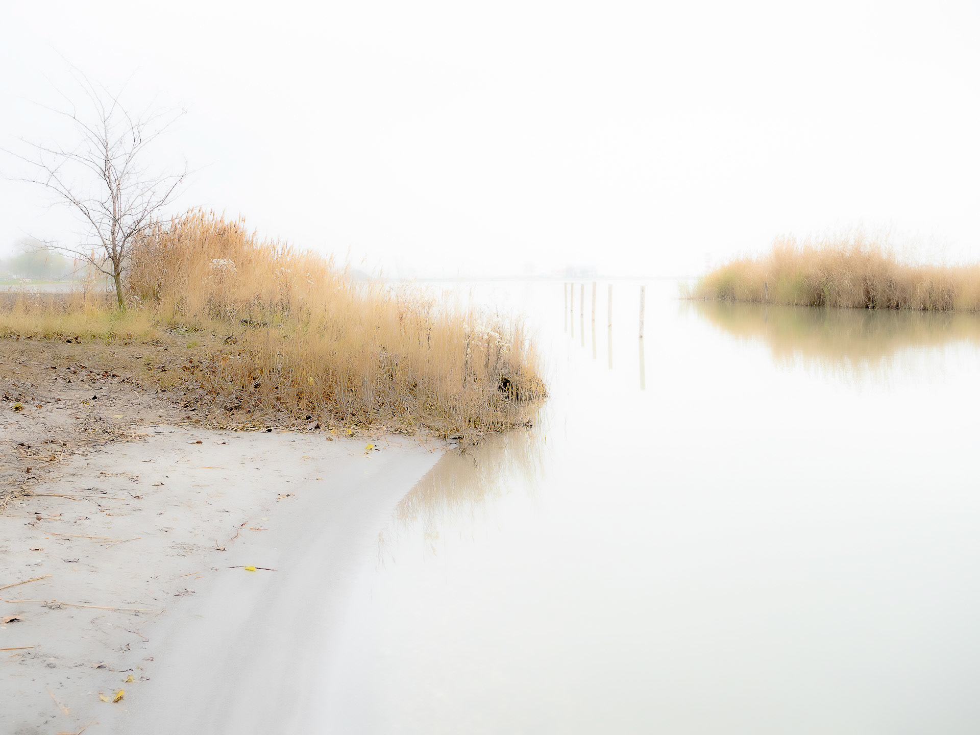 Silent Memories #12