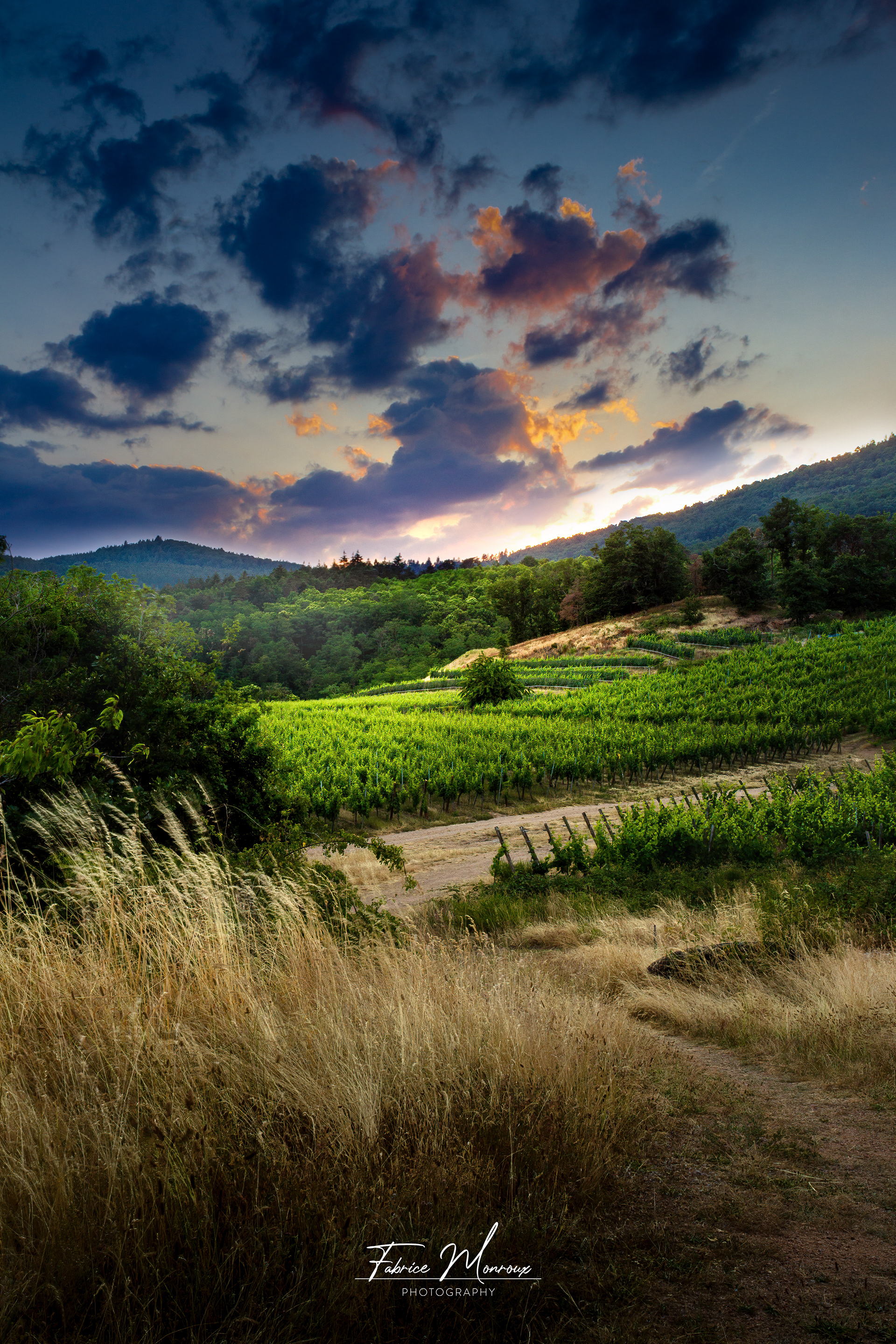 Sunset dans les vignes