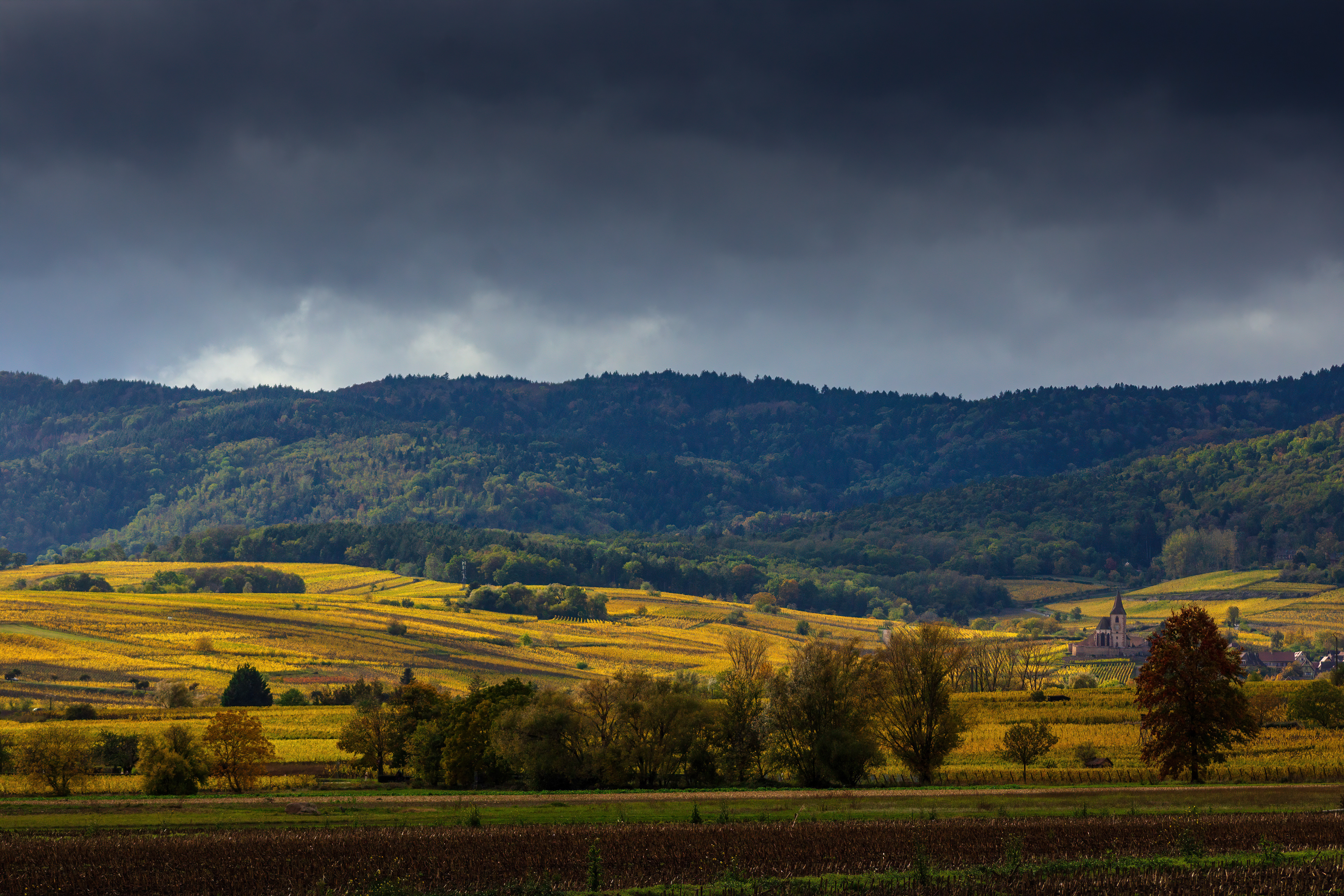 La perle du vignoble dans ses habits d'automne