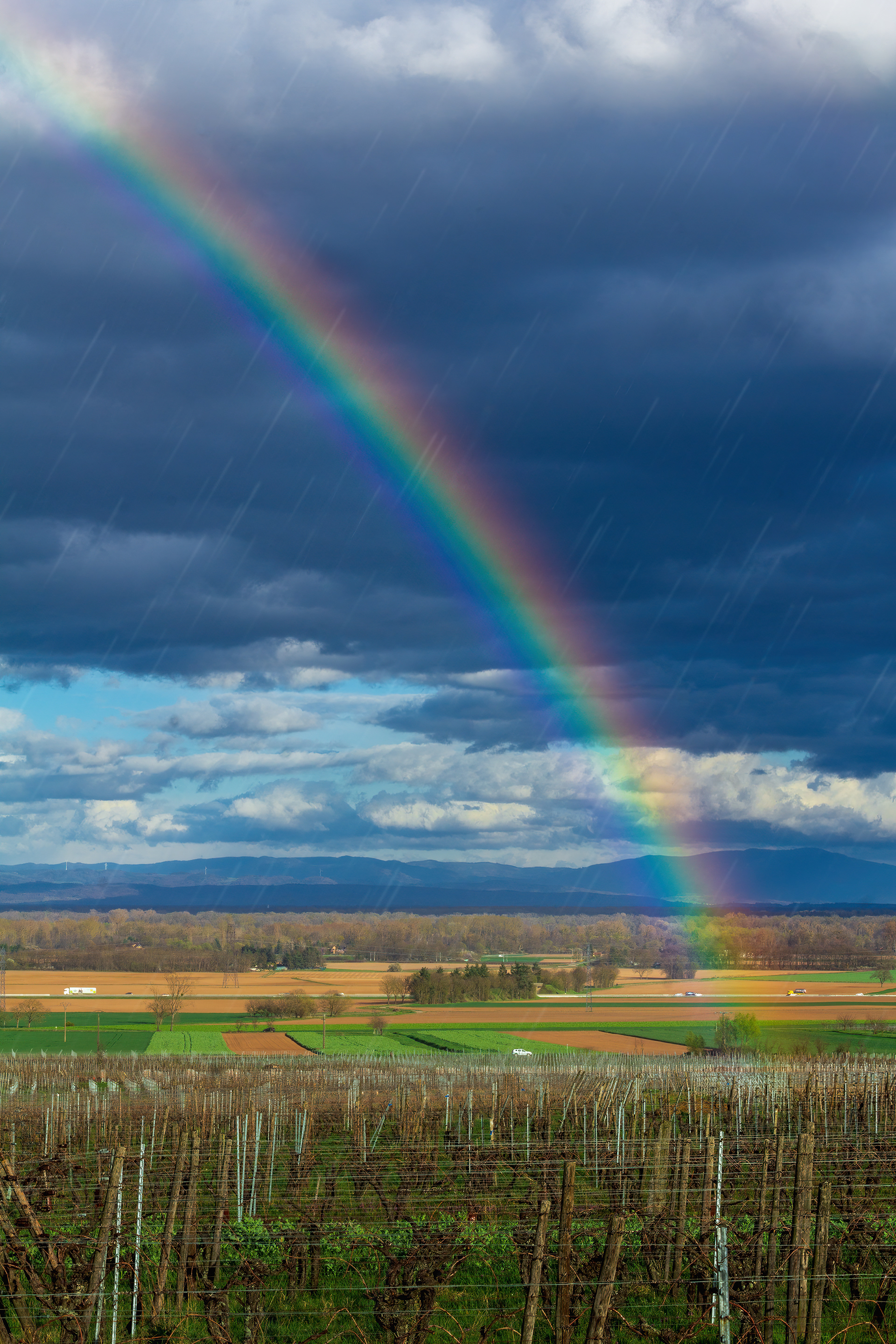 Arc-en-ciel sur la plaine d'Alsace