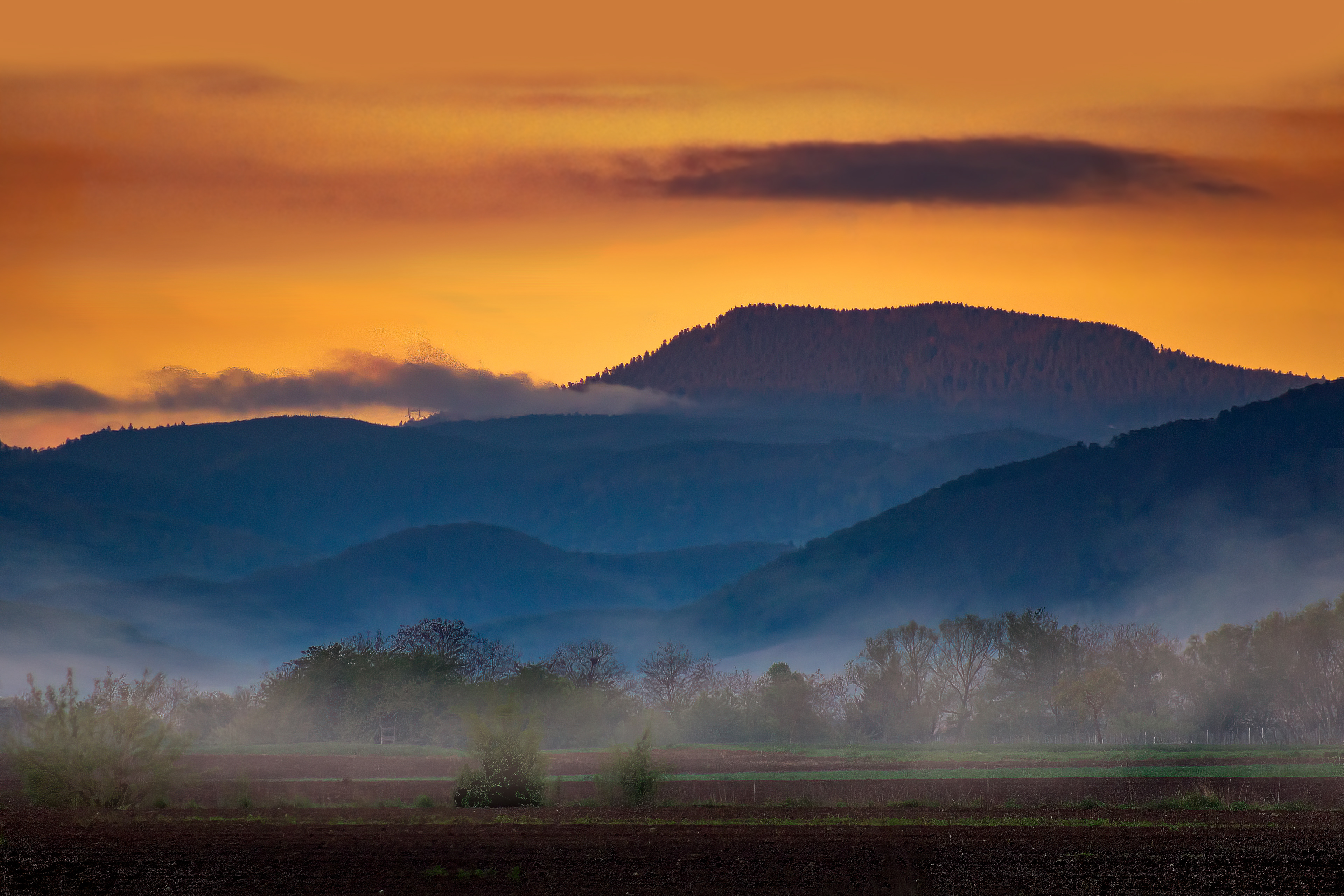 Taennschel Sunrise