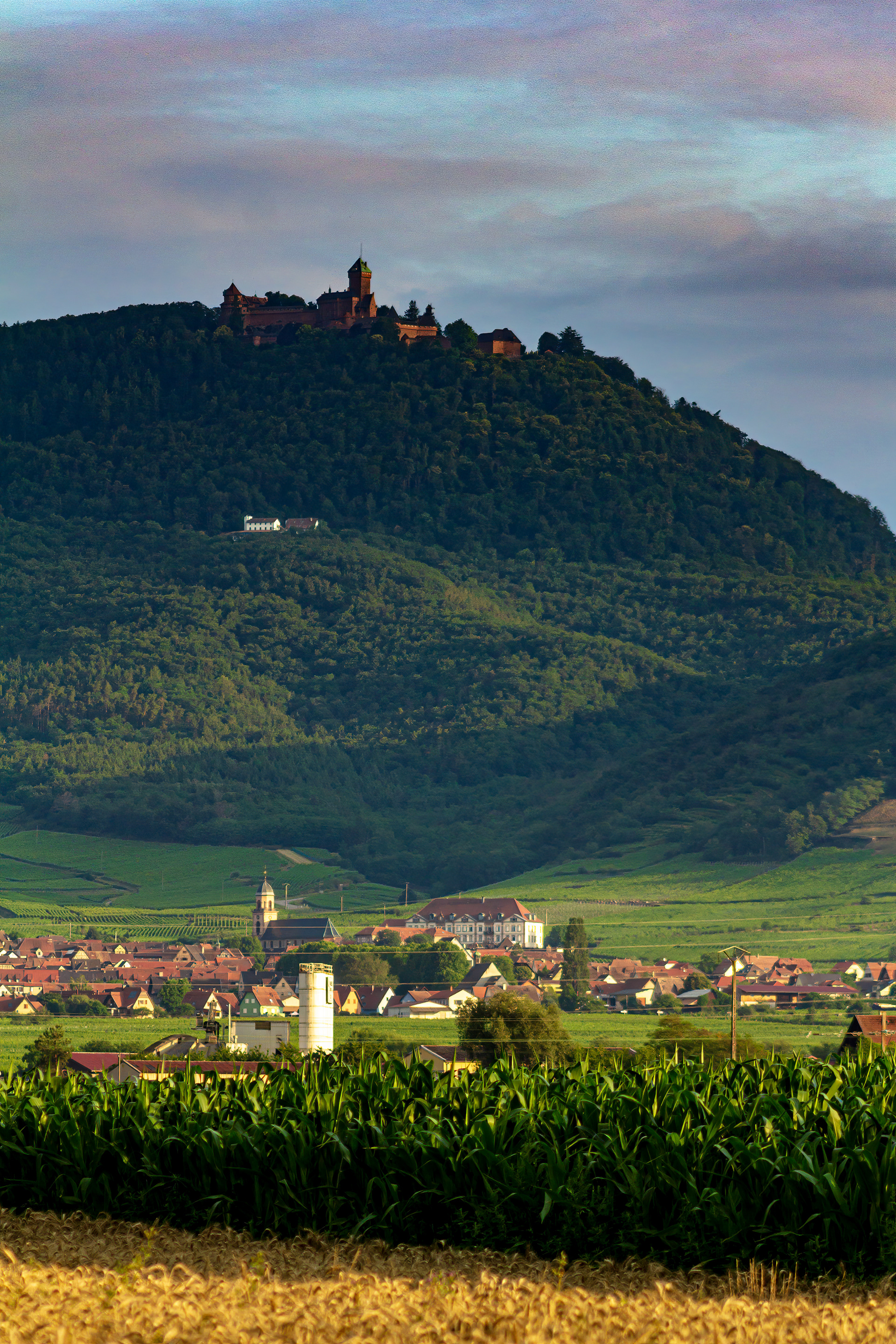 Château du Haut Koenigsbourg - Orschwiller