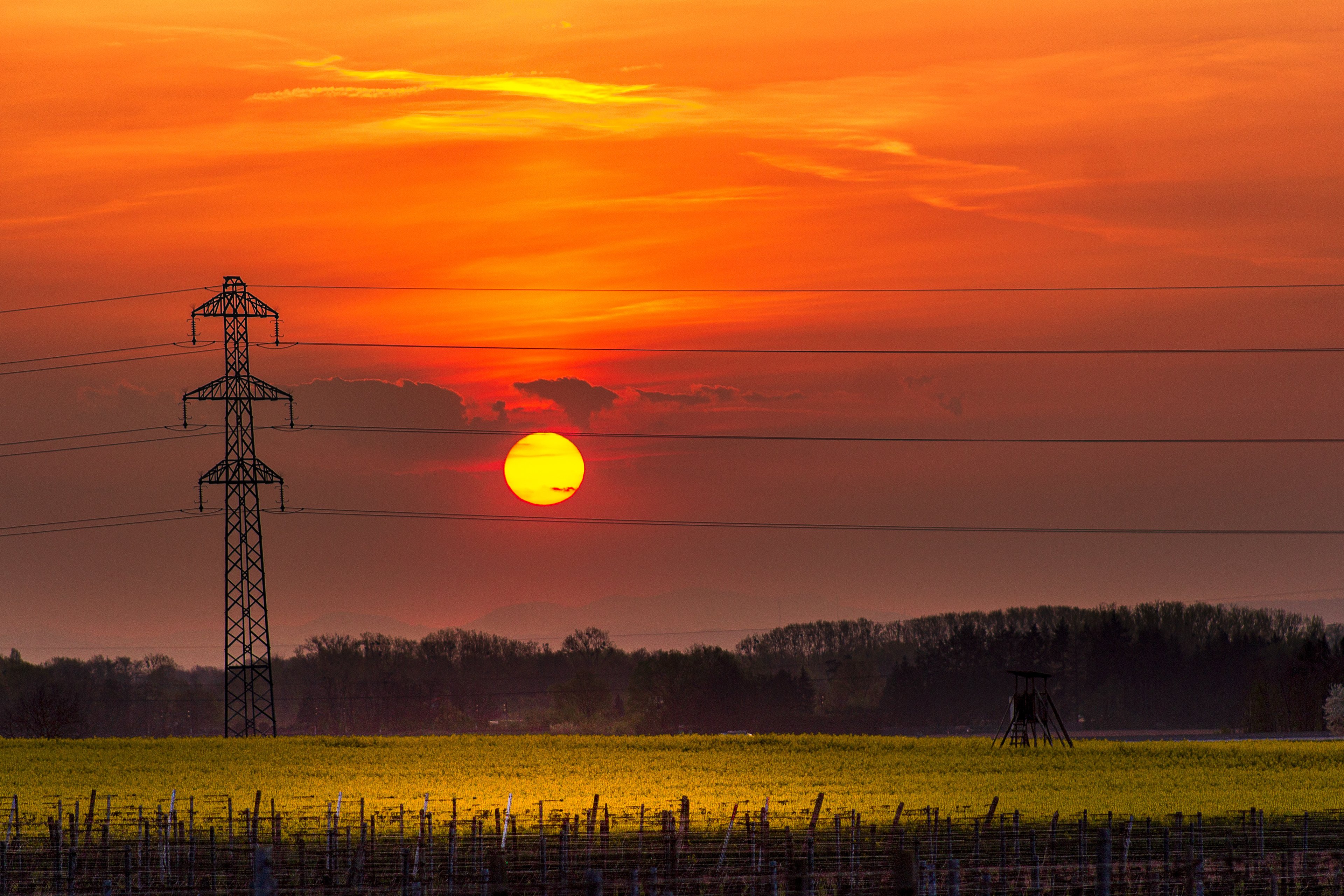 Electric Suunrise