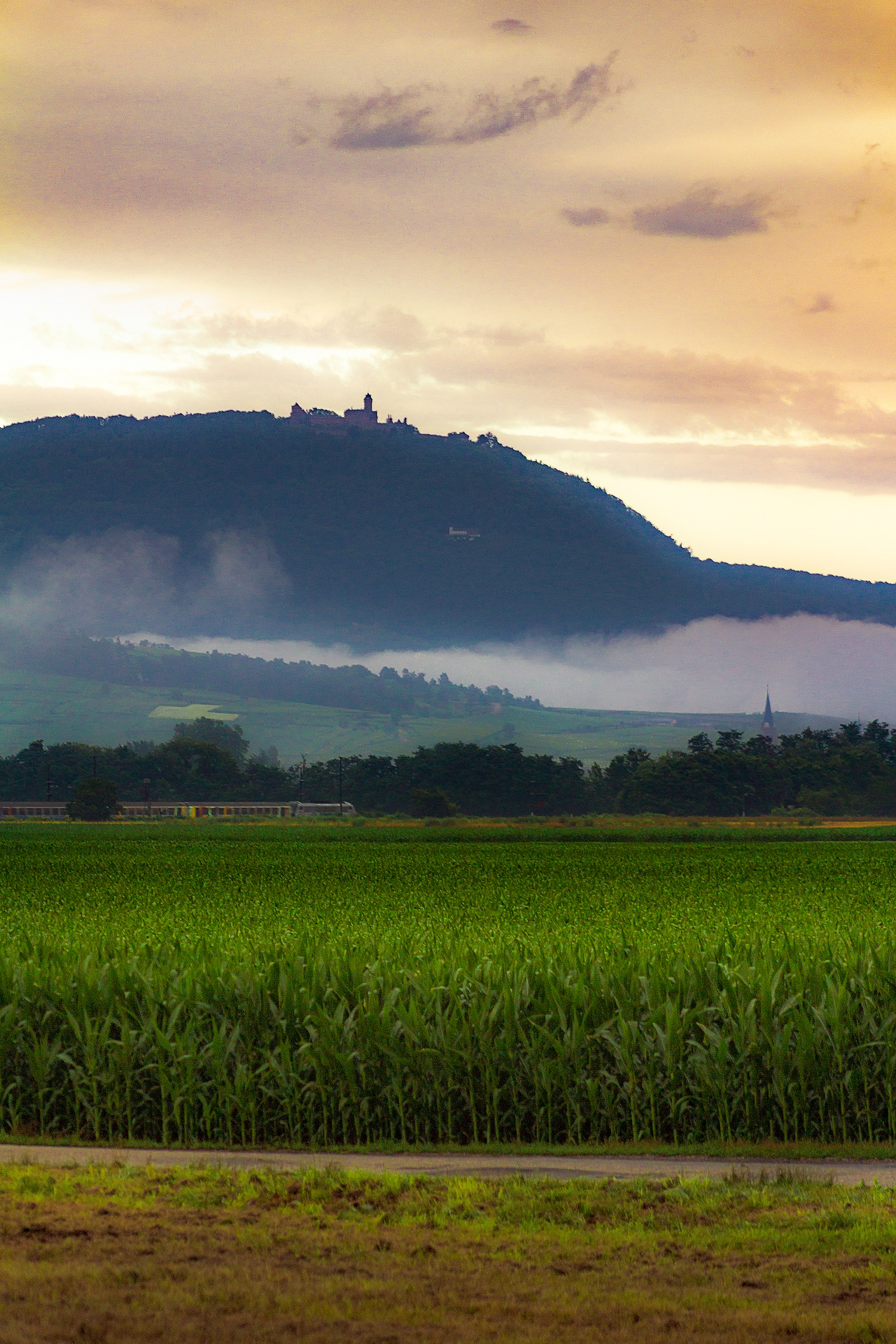 Brume matinale