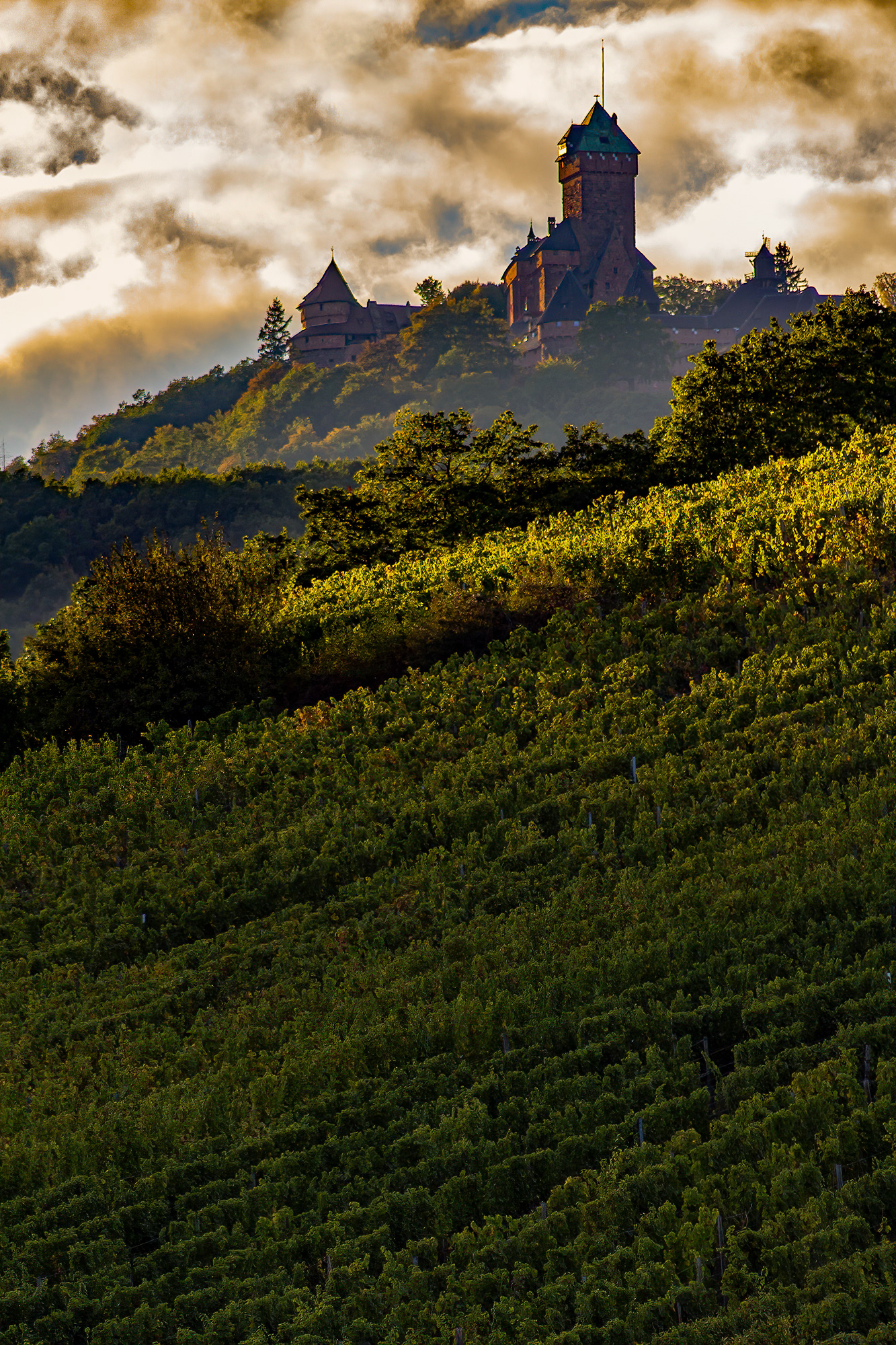 Château du Haut Koenigsbourg - Orschwiller