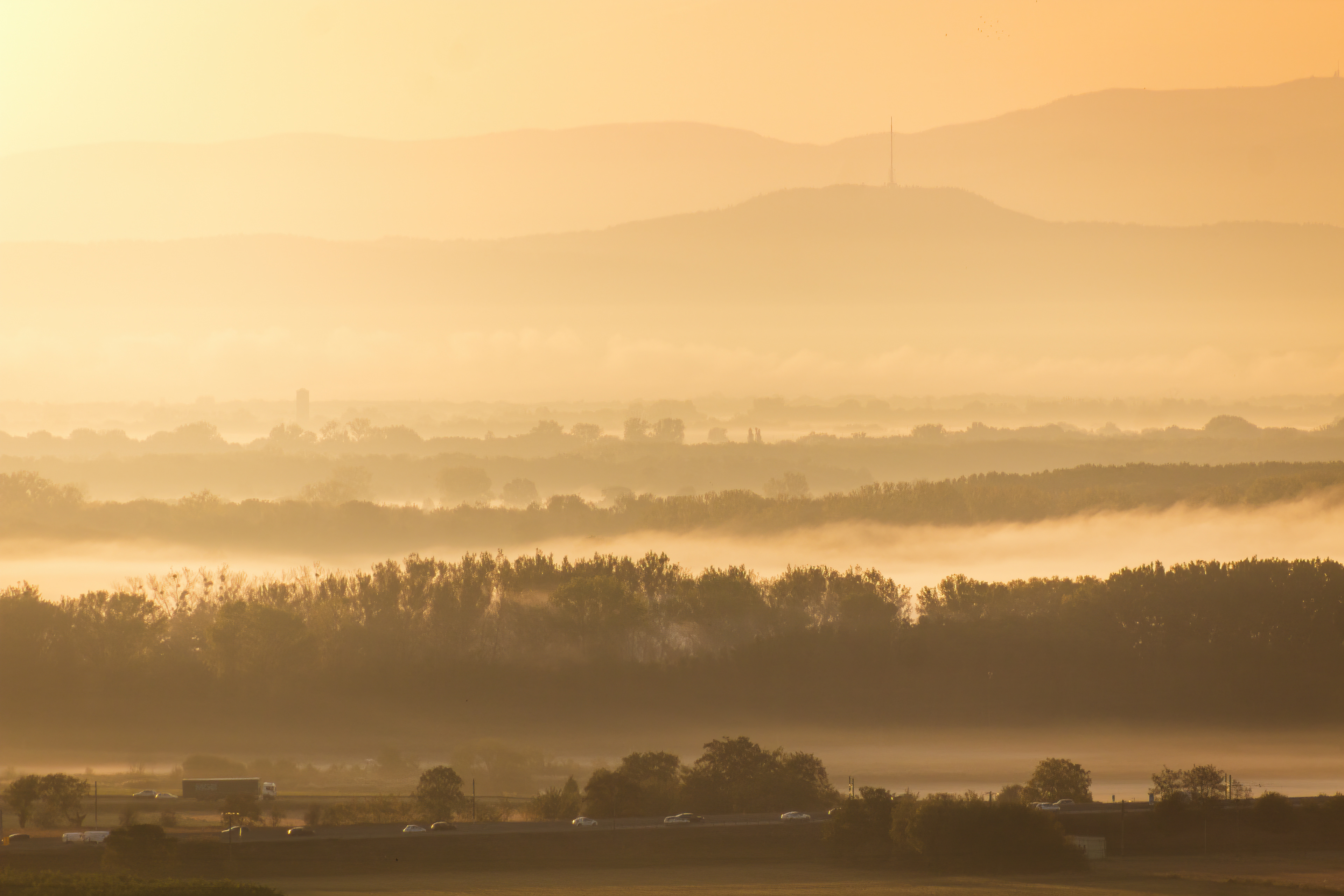 Matin brumeux et ensoleillé sur la plaine et la Forêt Noire