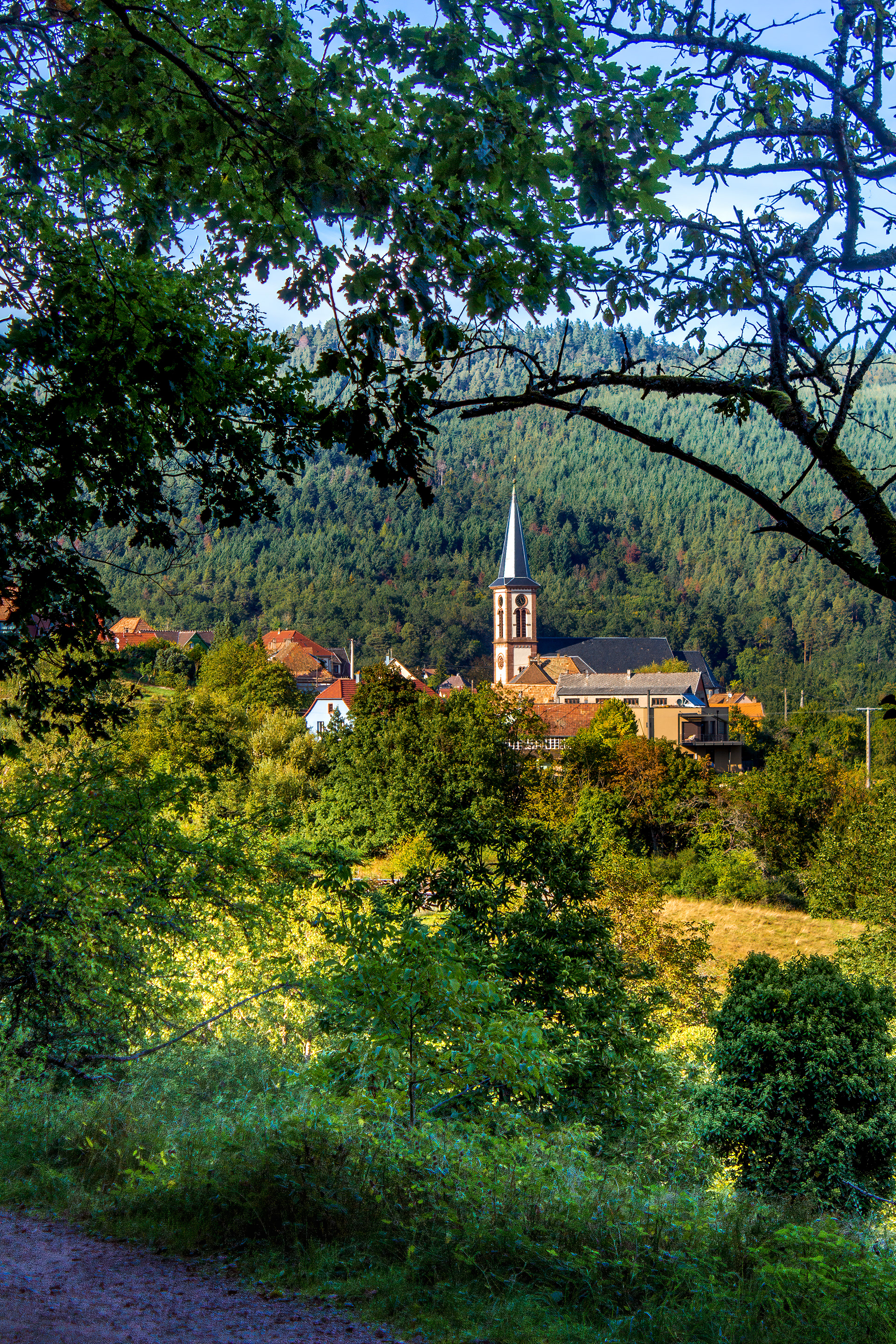 Thannenkirch