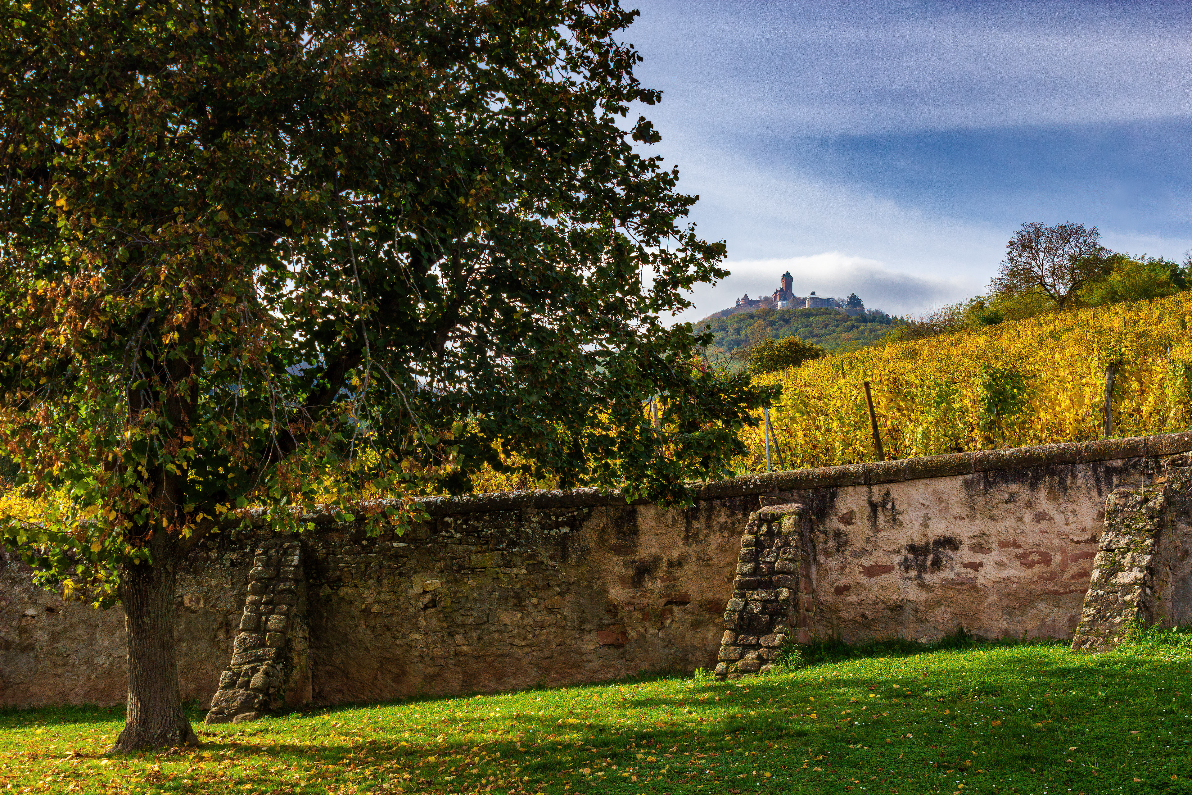 Remparts d'Orschwiller