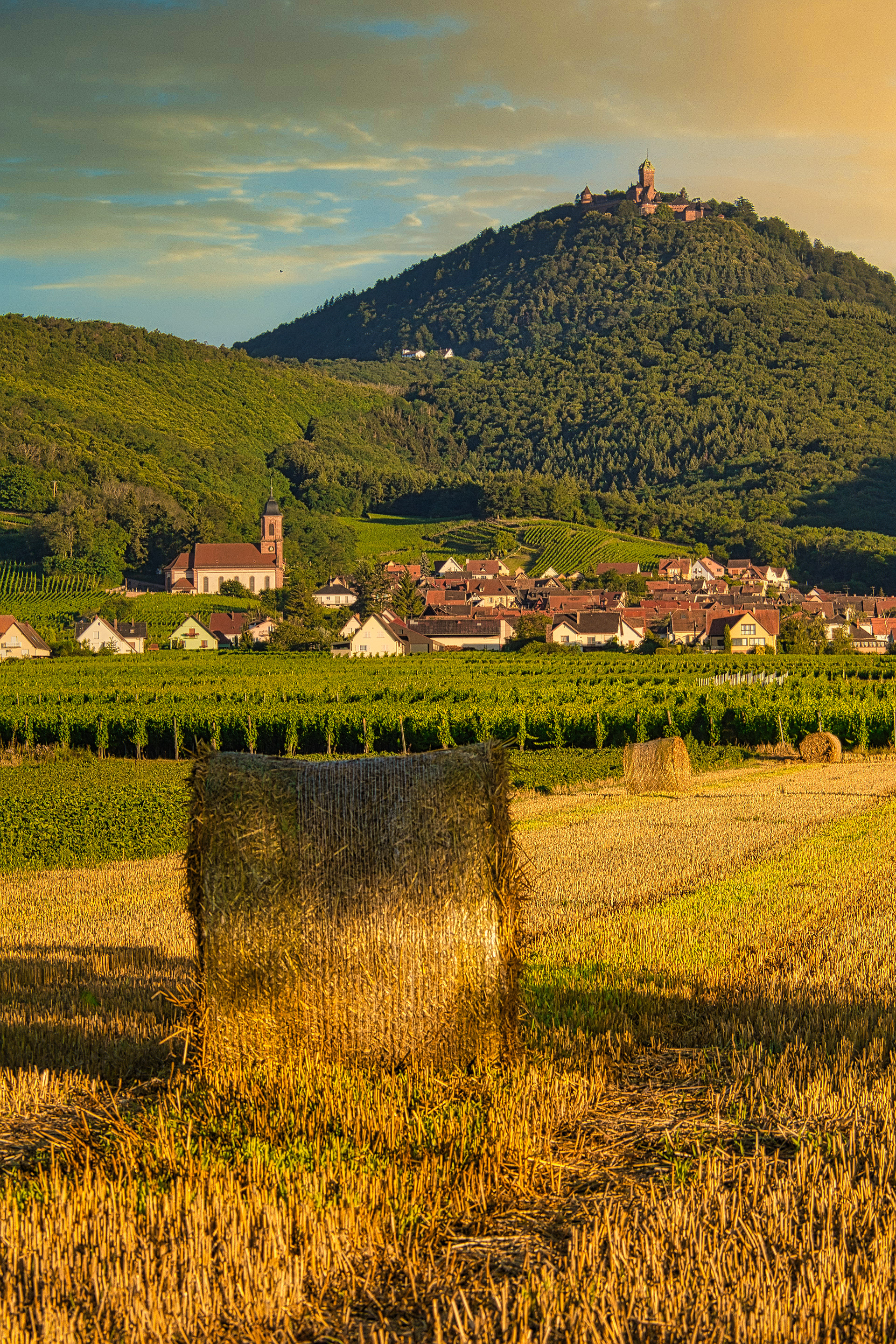 Orschwiller - Haut-Koenigsbourg