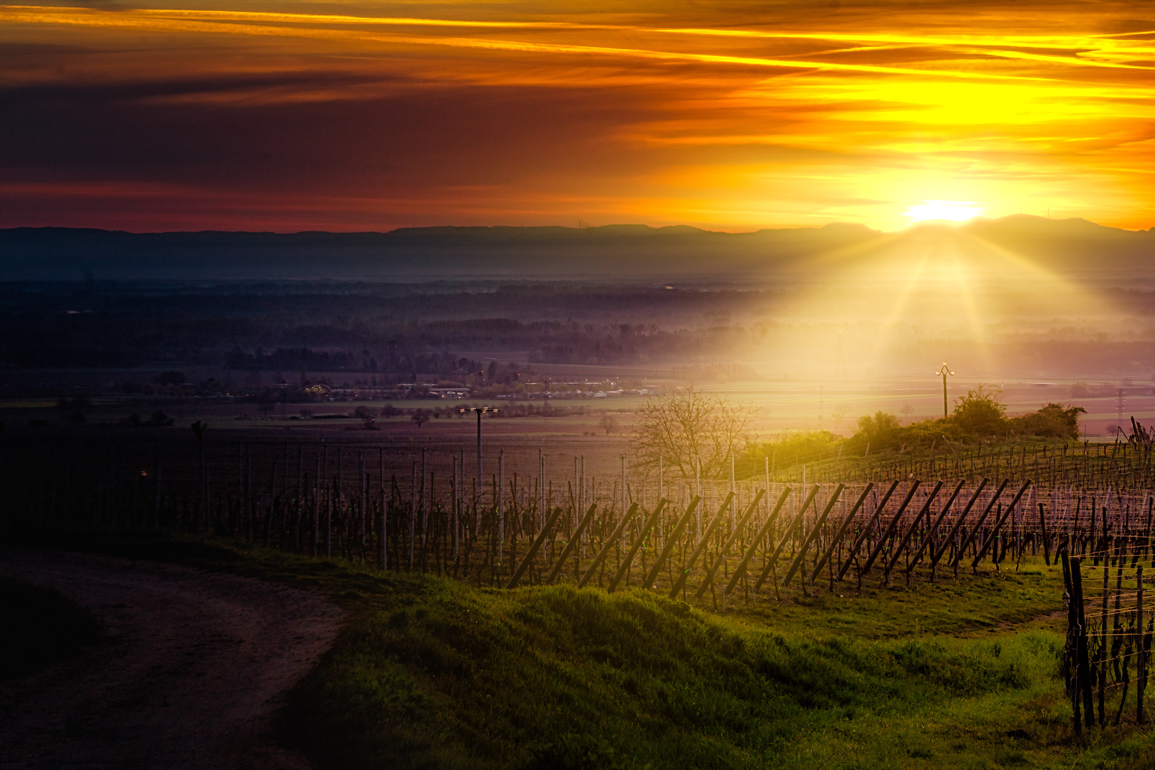 Sunrise