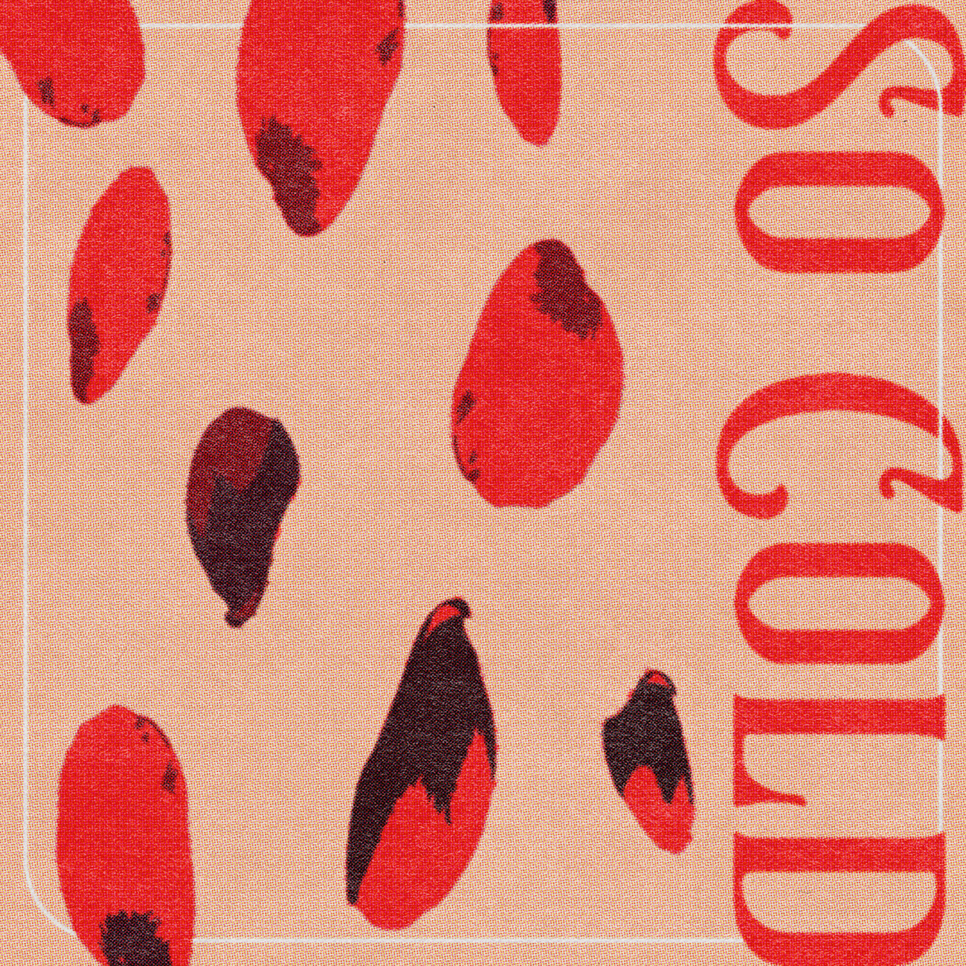 Fernando Piedra - So Cold (2021)