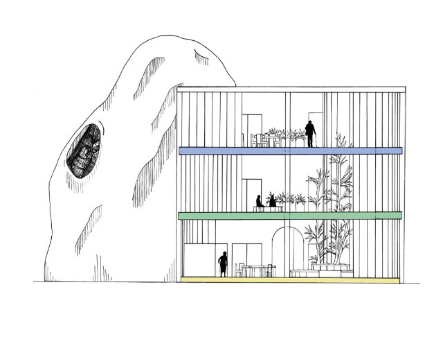 Back section