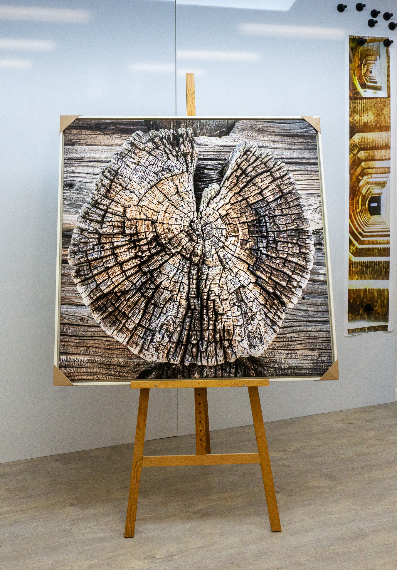 Thank you, Remo Eyer Fine Art Print