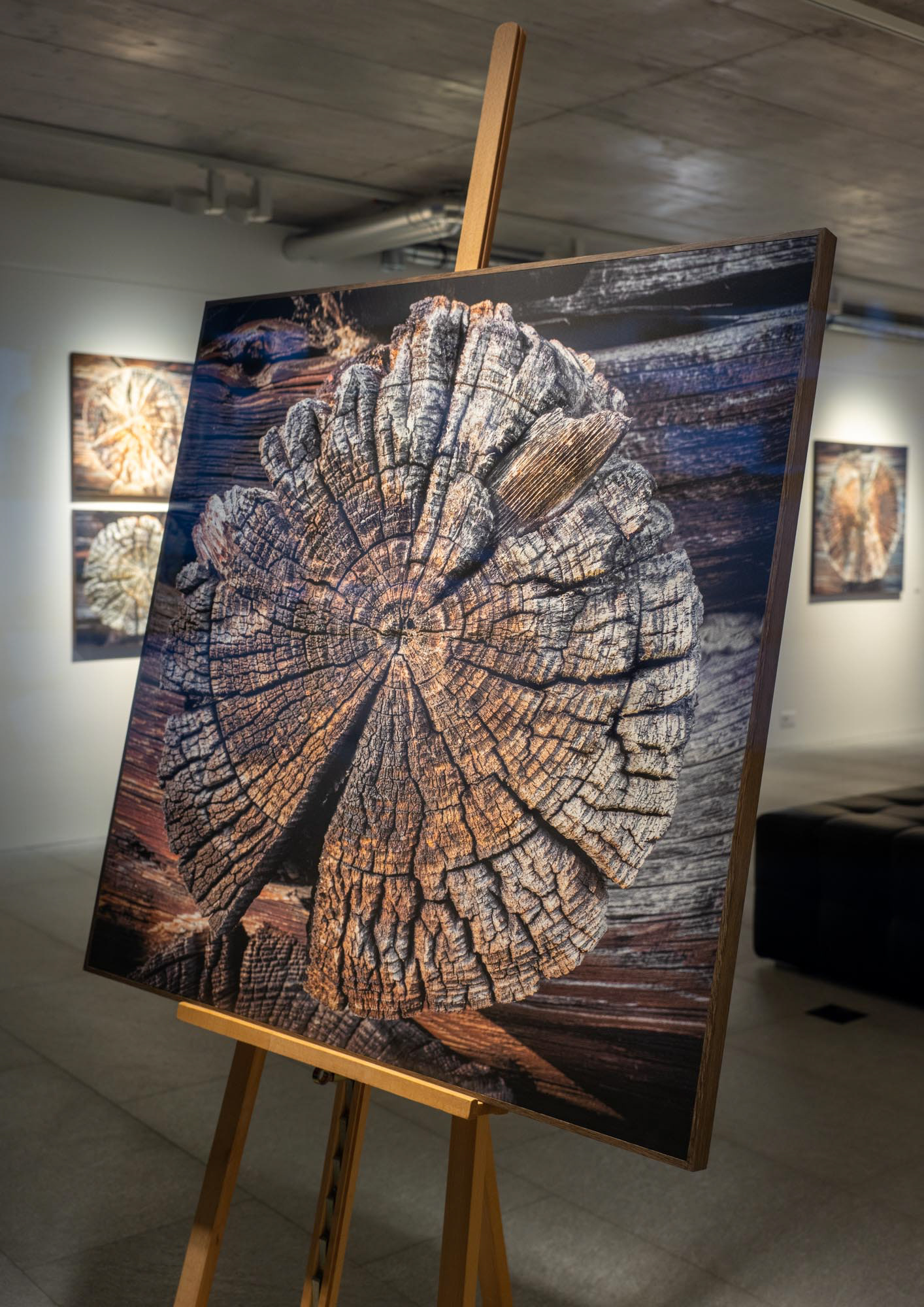 100 x 100 cm