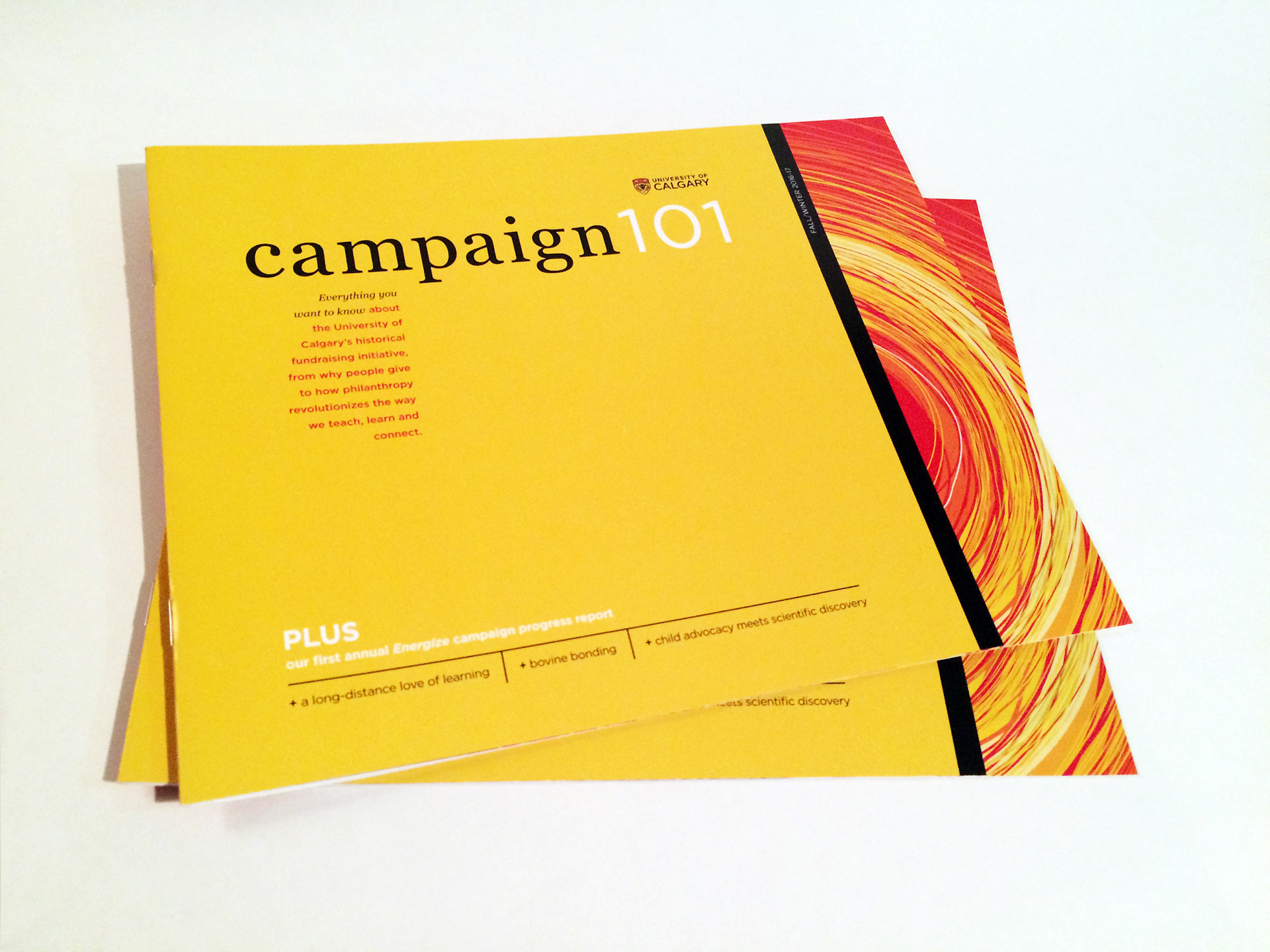 22 page, magazine-style publication created for University of Calgary. Focus was to create a bold and vibrant report that would provide an overview of the University campaign: Energize: The Campaign For Eyes High.
