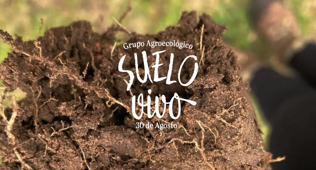 Asesoramiento al Grupo Suelo Vivo, productores de 30 de Agosto